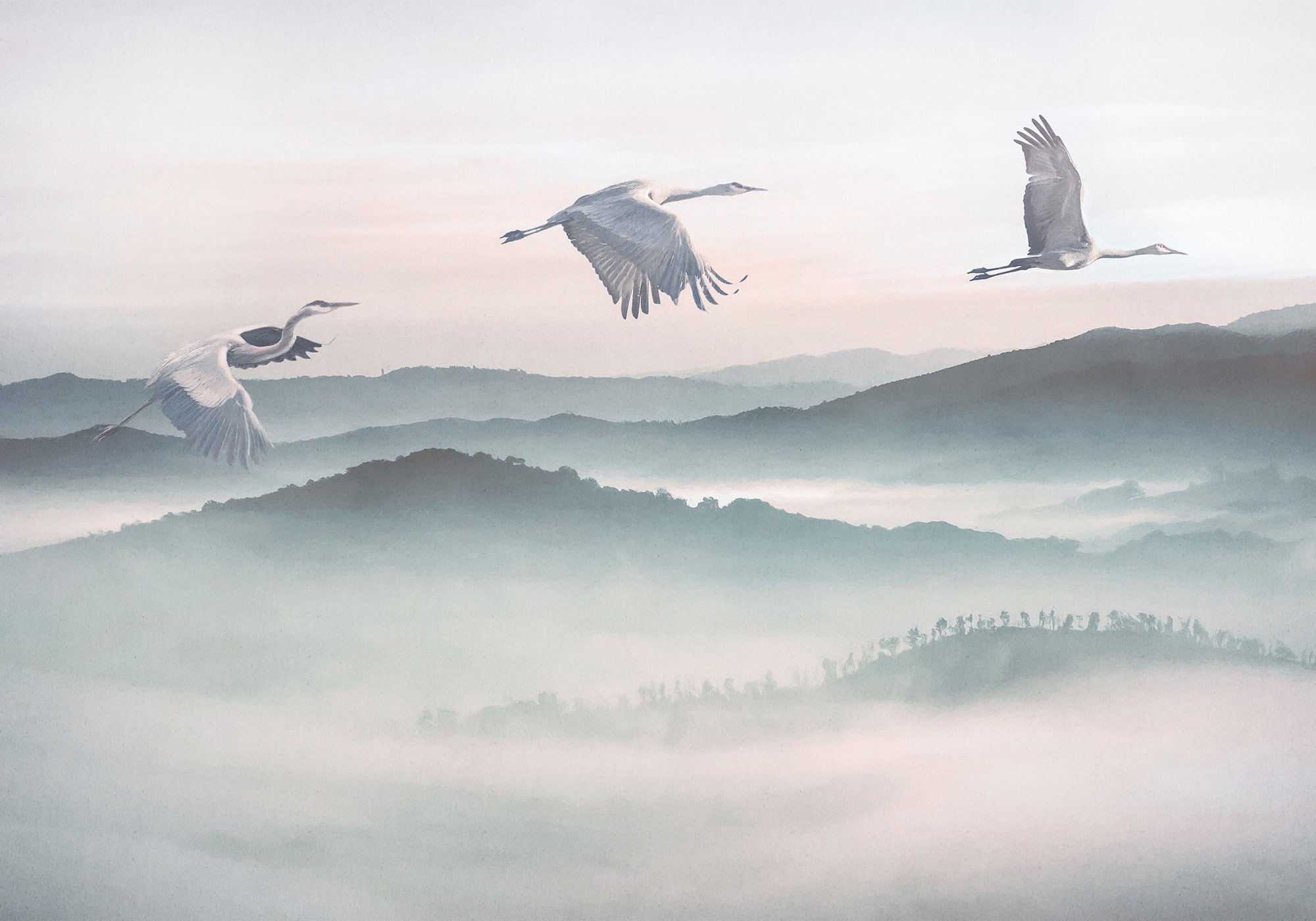 Image of Komar Vliestapete "Digitaldruck Vlies - Mystic Cranes - Grösse 400 x 280 cm" bedruckt glatt Wohnzimmer, Schlafzimmer