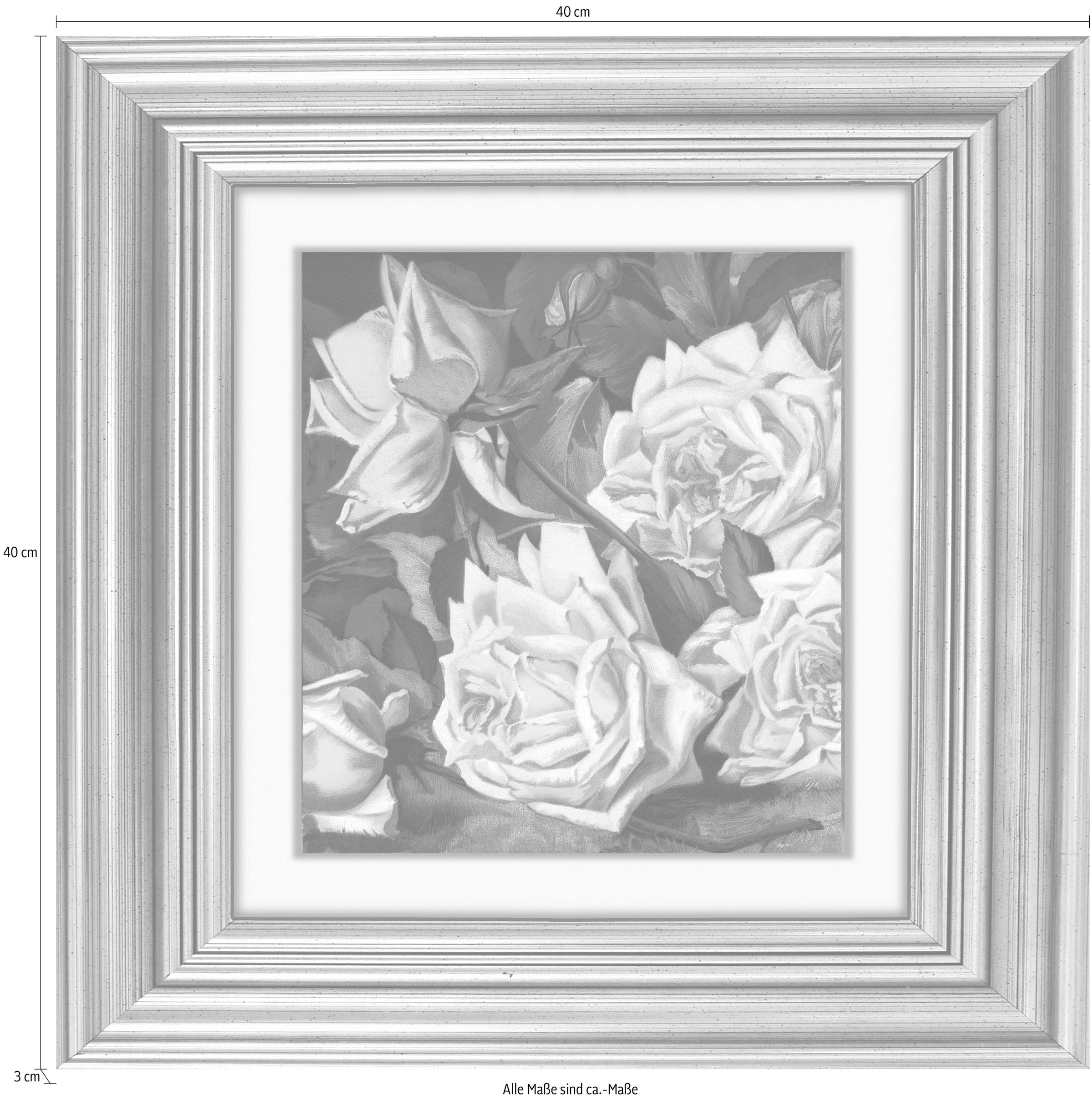 queence Acrylglasbild »Rosen«, Blumen-Blumenbilder-Kunst-Pflanzen-Pflanzenbilder-Gemälde, Fine Art-Print in Galeriequalität