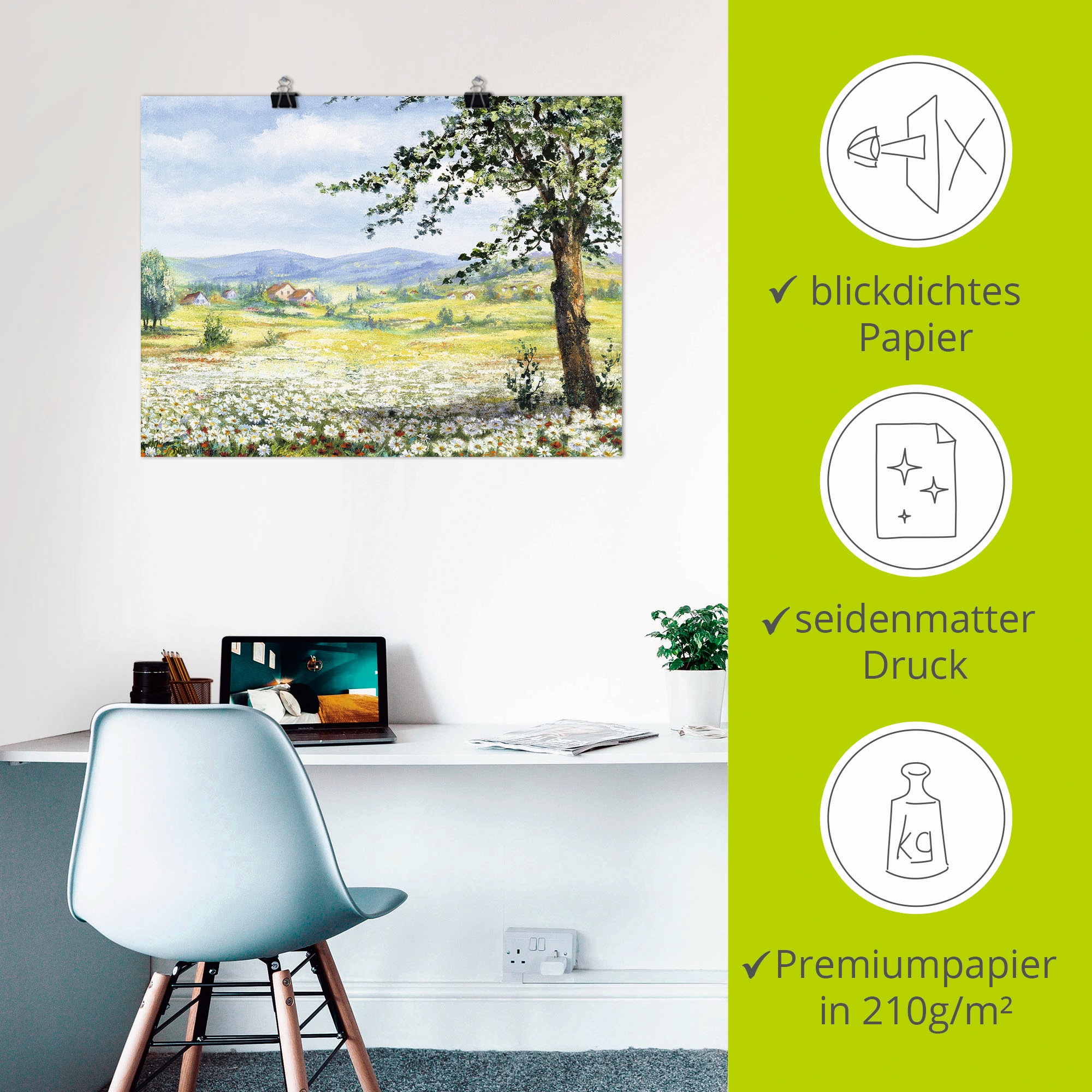 Artland Wandbild »Margeritenfeld«, Wiesen & Bäume, (1 St.), als Poster, Wandaufkleber in verschied. Grössen