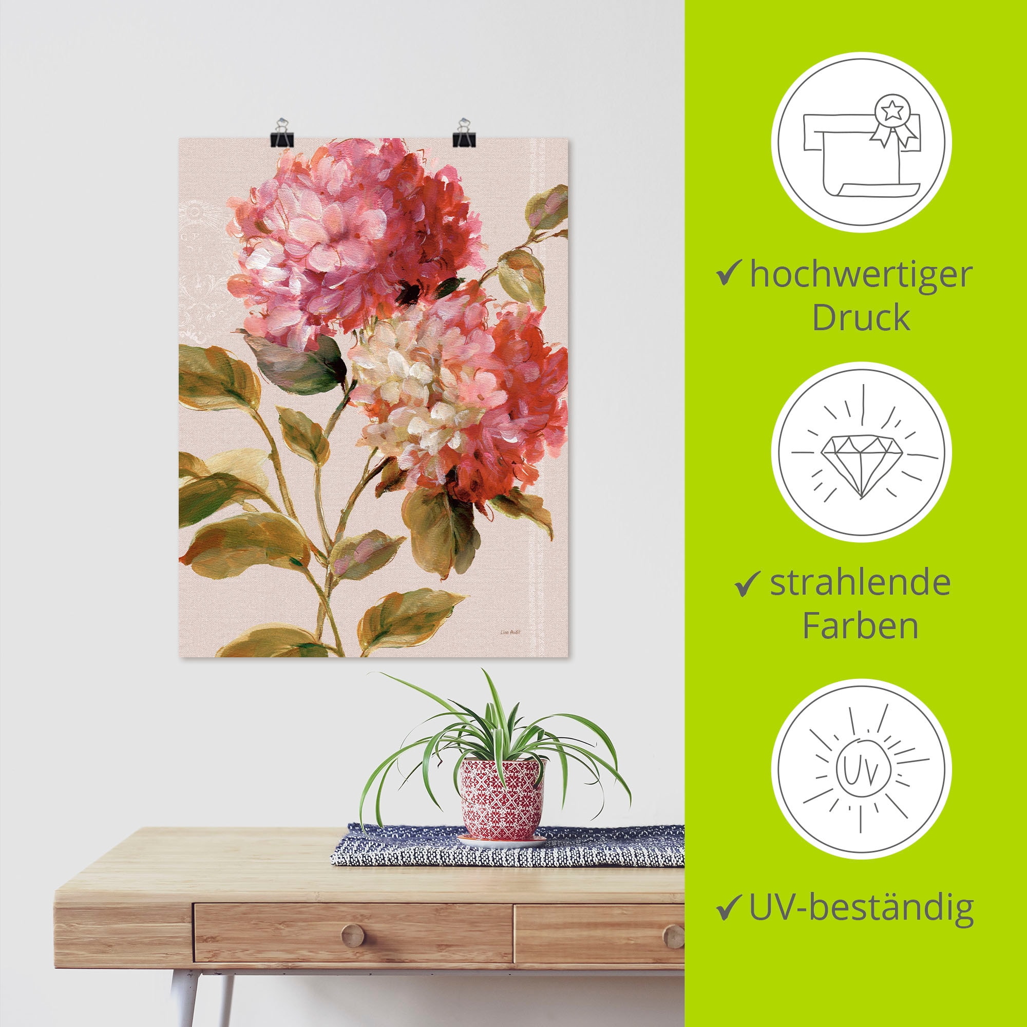 Artland Wandbild »Harmonische Hortensien«, Blumen, (1 St.), als Leinwandbild, Poster in verschied. Grössen