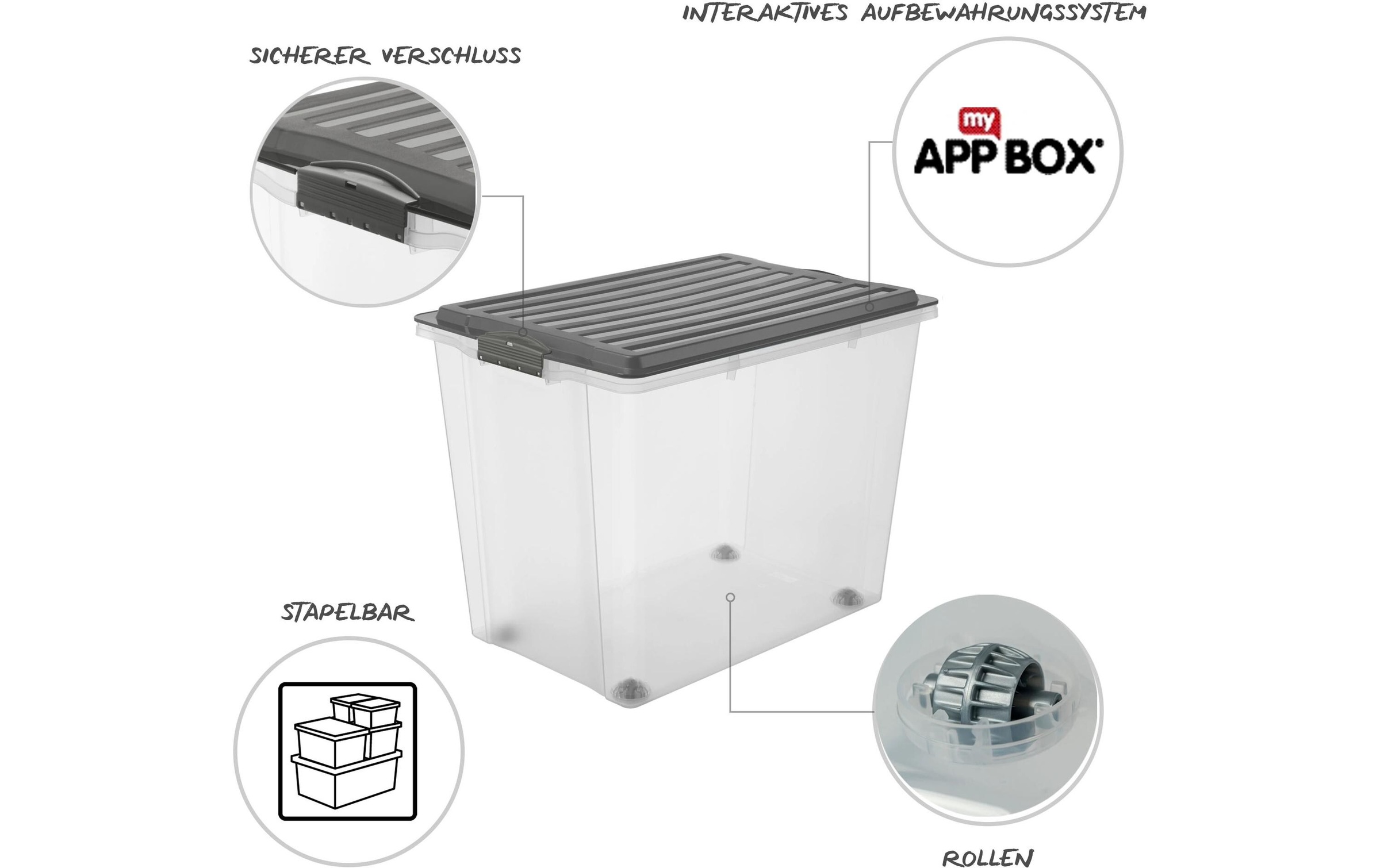 ROTHO Aufbewahrungsbox »COMPACT 3 tlg.«, (3 St.)