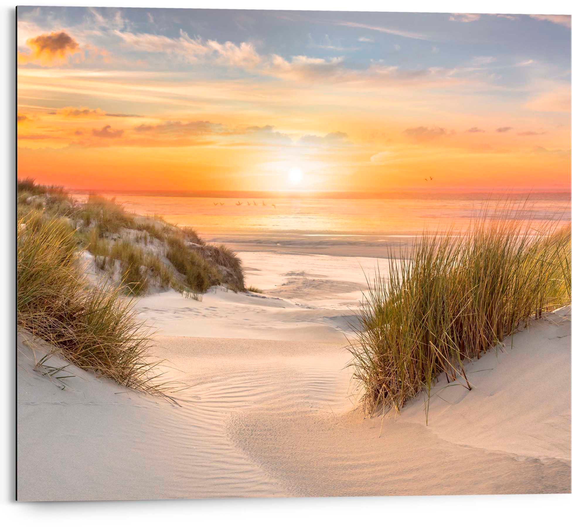 Image of Reinders Deco-Panel "Ameland"