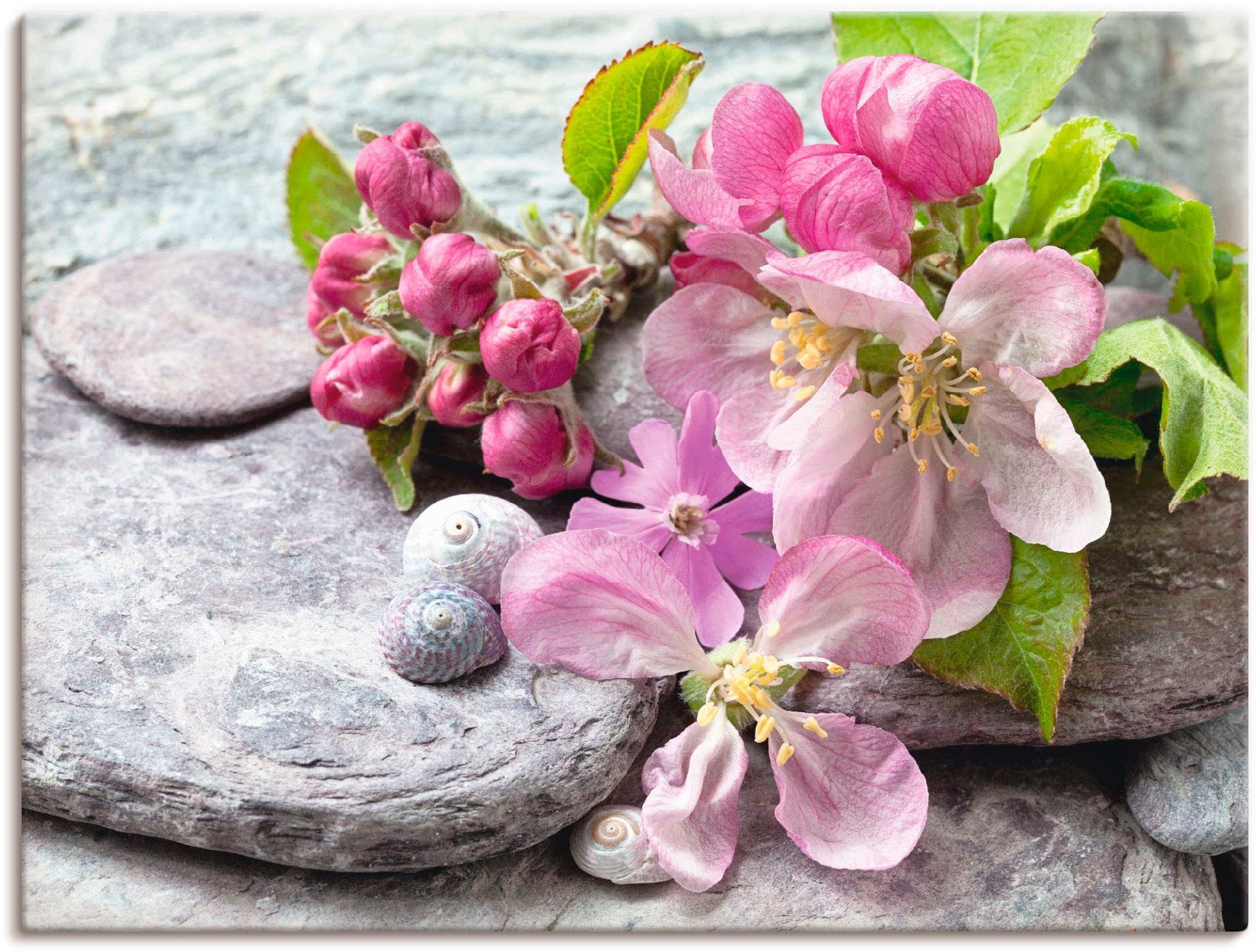Image of Artland Leinwandbild "Apfelblüten" Blumen 1 Stk. tlg. auf Holzrahmen gespannt