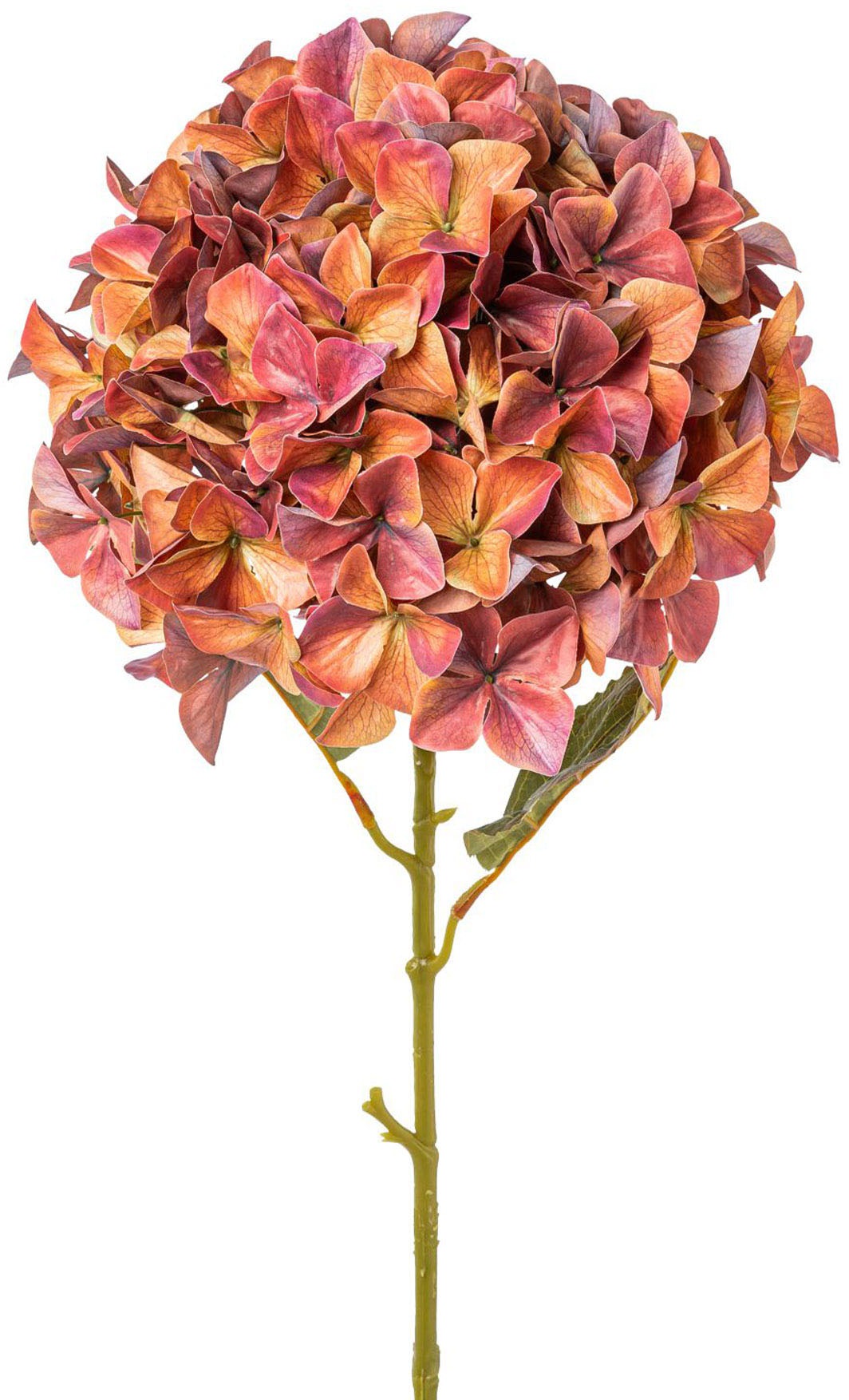 Image of Creativ green Kunstblume »Hortensie«, (1 St.) bei Ackermann Versand Schweiz