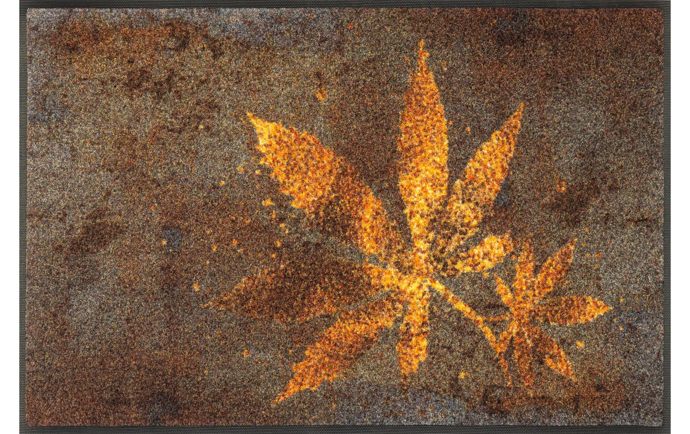 Image of wash+dry by Kleen-Tex Fussmatte "Herb Blend 50 cm x 75 cm"