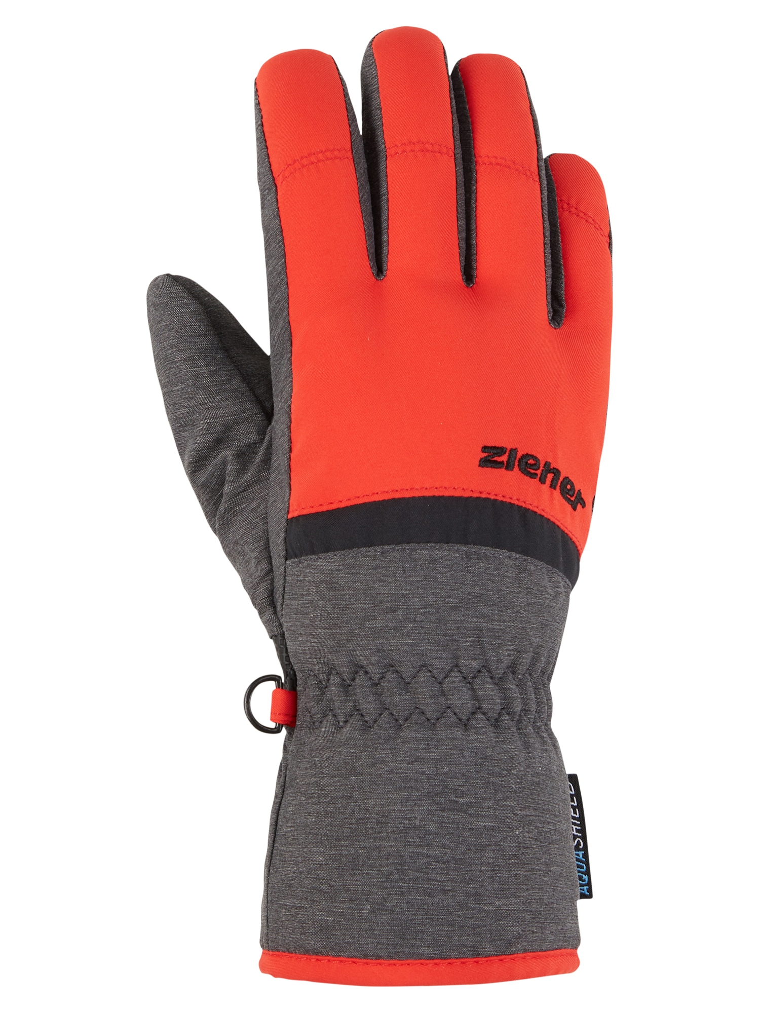 Ziener Skihandschuhe »LEJANO AS(R)«