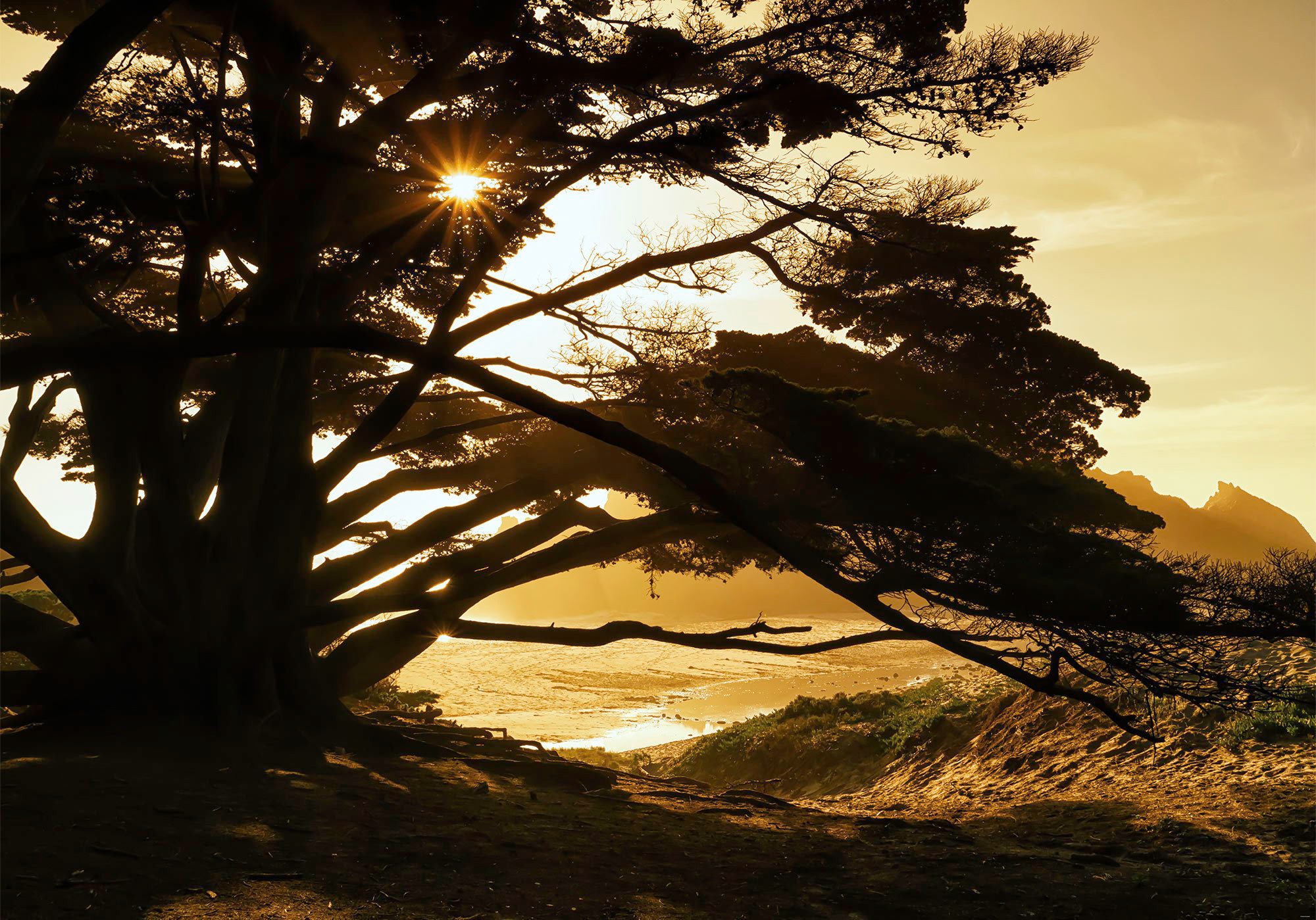 Image of Komar Fototapete »Perfect Moment«, bedruckt-Comic-Retro-mehrfarbig, BxH: 400x280 cm bei Ackermann Versand Schweiz