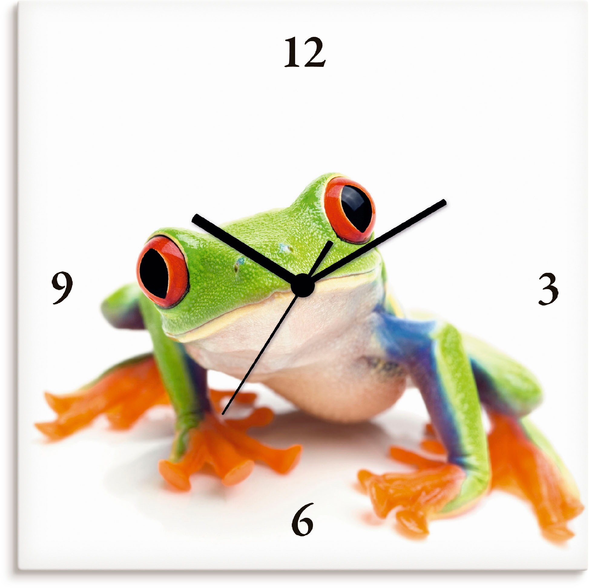 Image of Artland Wanduhr »Grossaufnahme eines Frosches vor weiss«, lautlos, ohne Tickgeräusche, nicht tickend, geräuschlos - wählbar: Funkuhr o. Quarzuhr, moderne Uhr für Wohnzimmer, Küche etc. - Stil: modern bei Ackermann Versand Schweiz