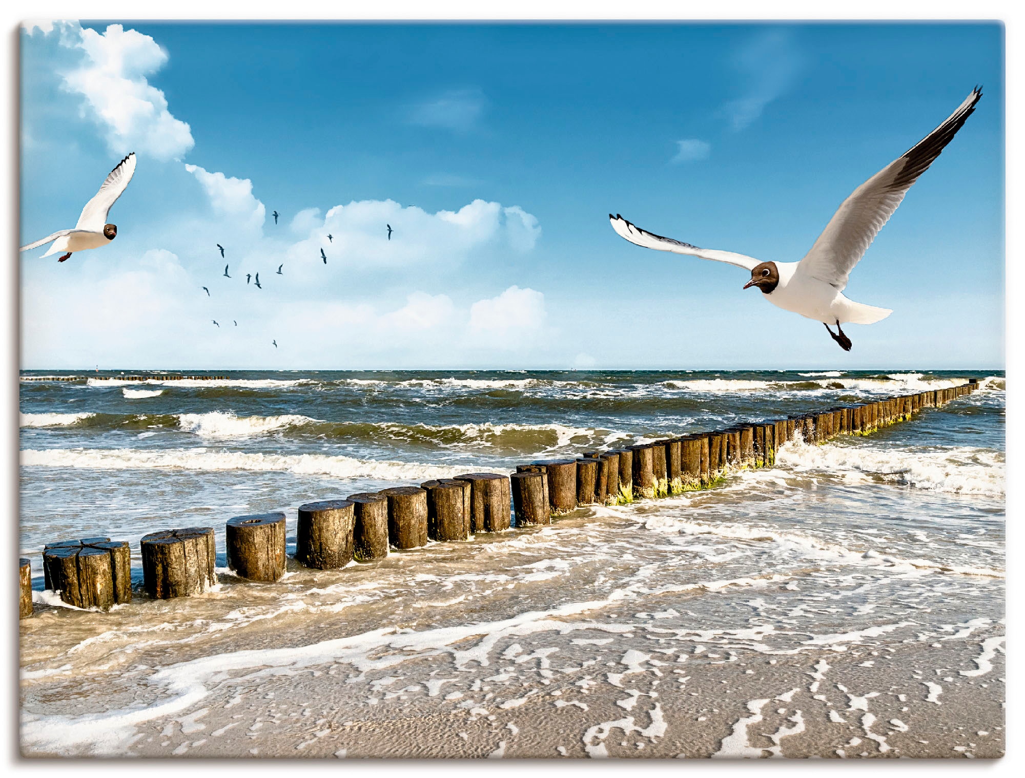 Image of Artland Wandbild "Ostsee" Gewässer 1 Stk. tlg. als Leinwandbild, Poster in verschied. Grössen