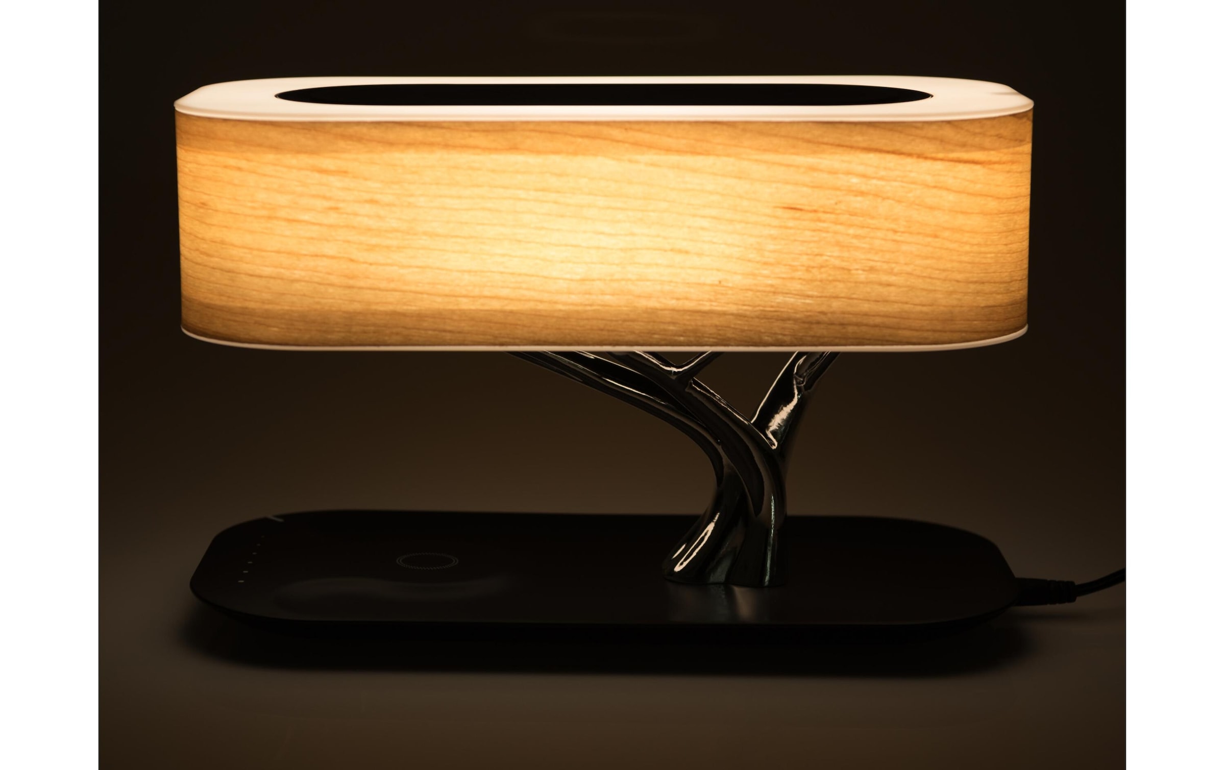 4smarts Akku-Ladestation »Charger Smart-Bons«