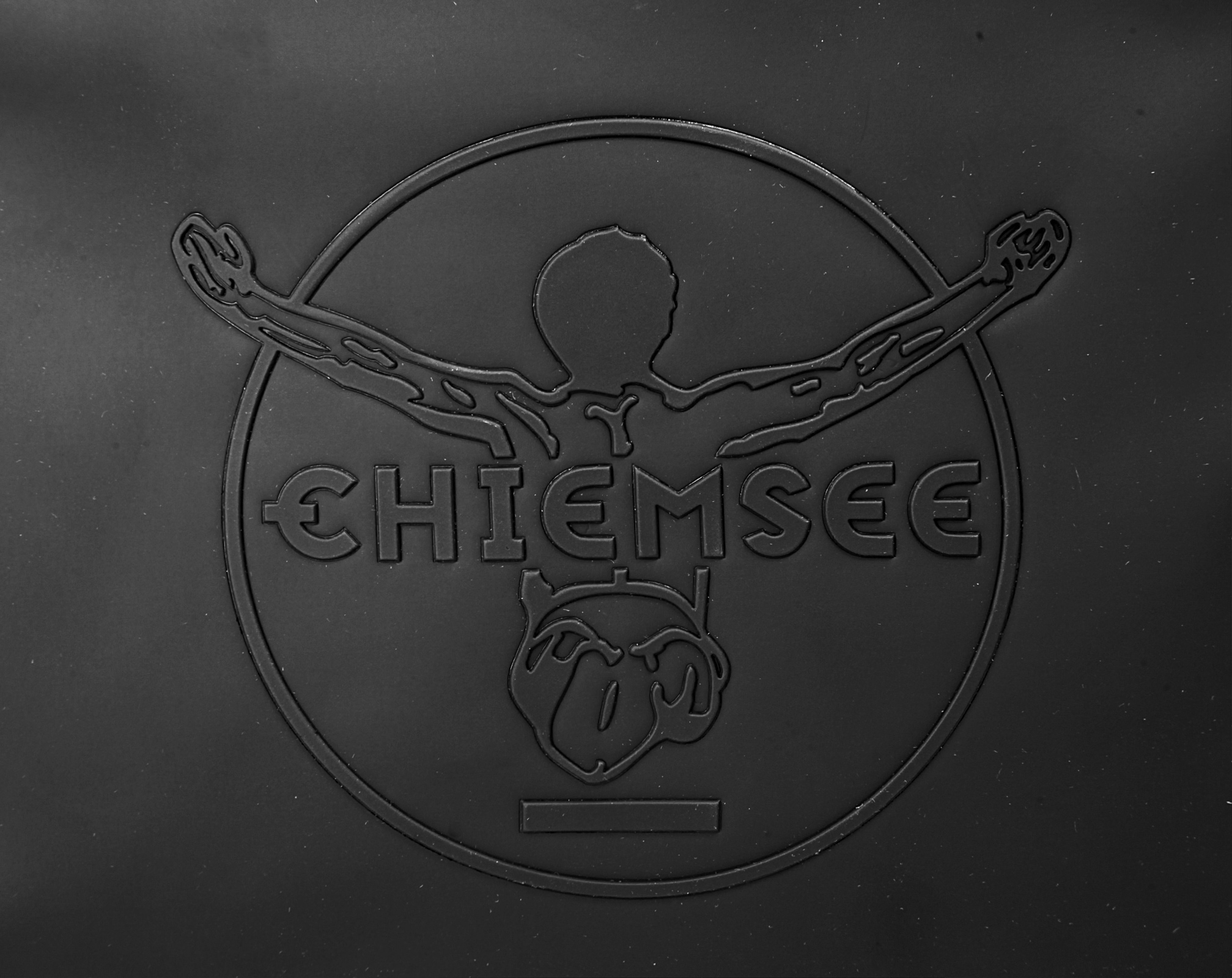 Chiemsee Reisetasche »TRACK "N" DAY«