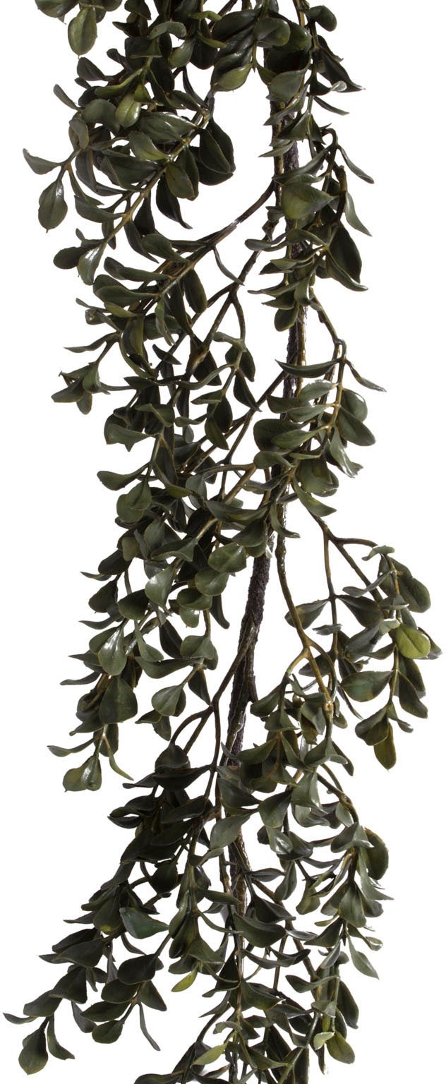 Image of Botanic-Haus Künstliche Zimmerpflanze »Buchsgirlande natural«, (1 St.) bei Ackermann Versand Schweiz