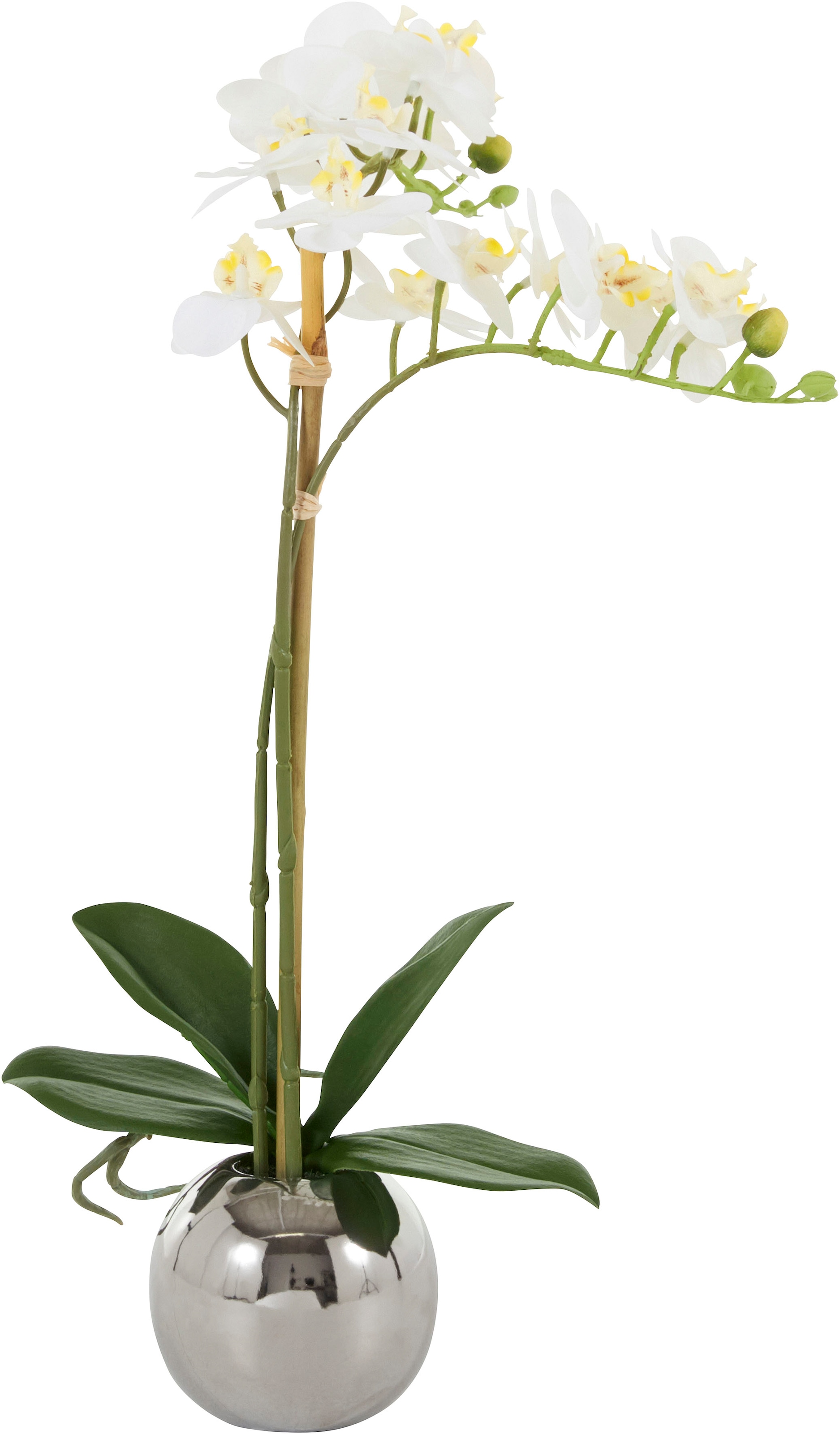 Kunstorchidee »Voguish«, Kunstpflanze, im Topf aus Keramik