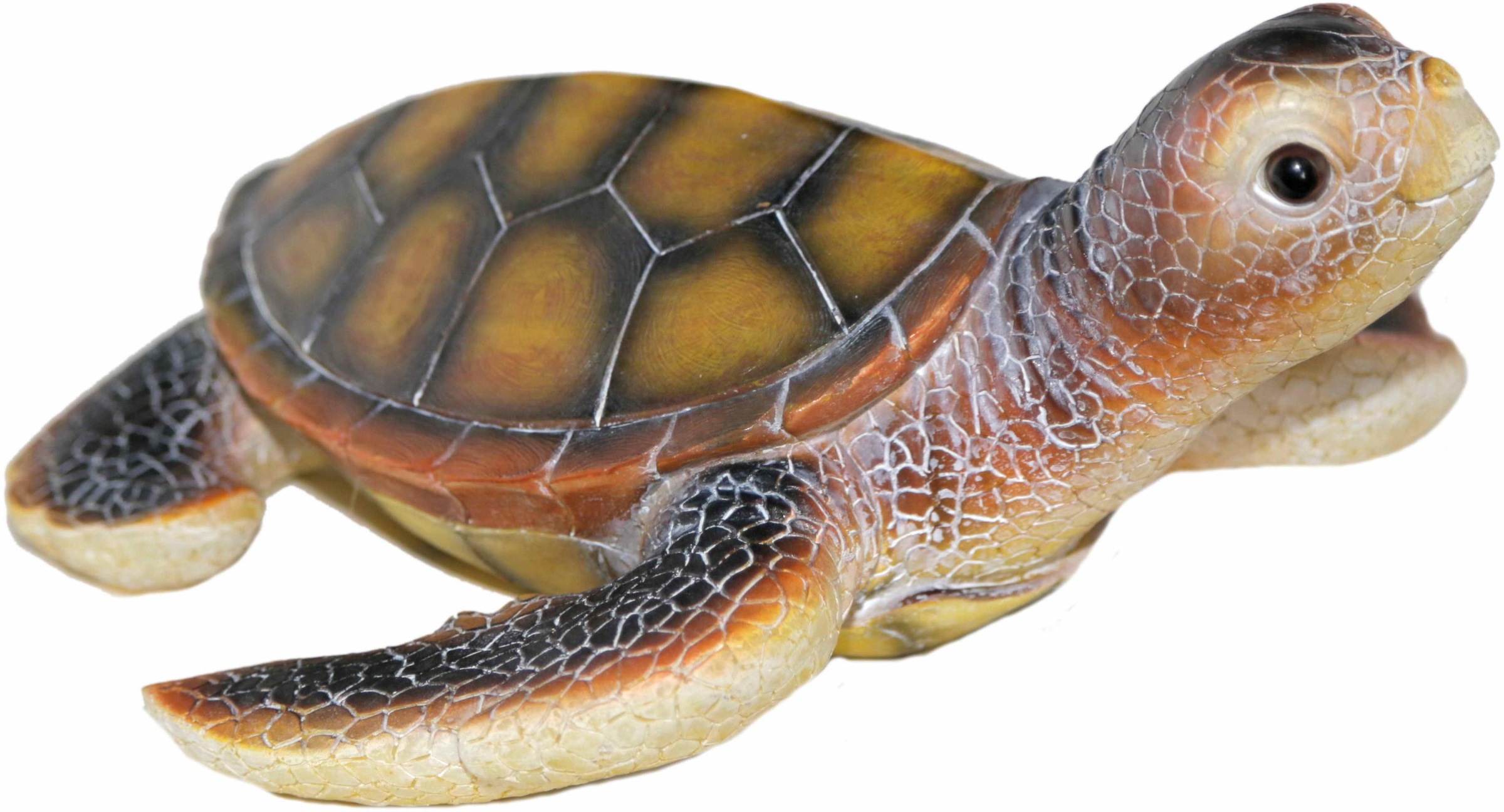 Image of Casa Collection by Jänig Tierfigur »Wasserschildkröte«, (1 St.) bei Ackermann Versand Schweiz