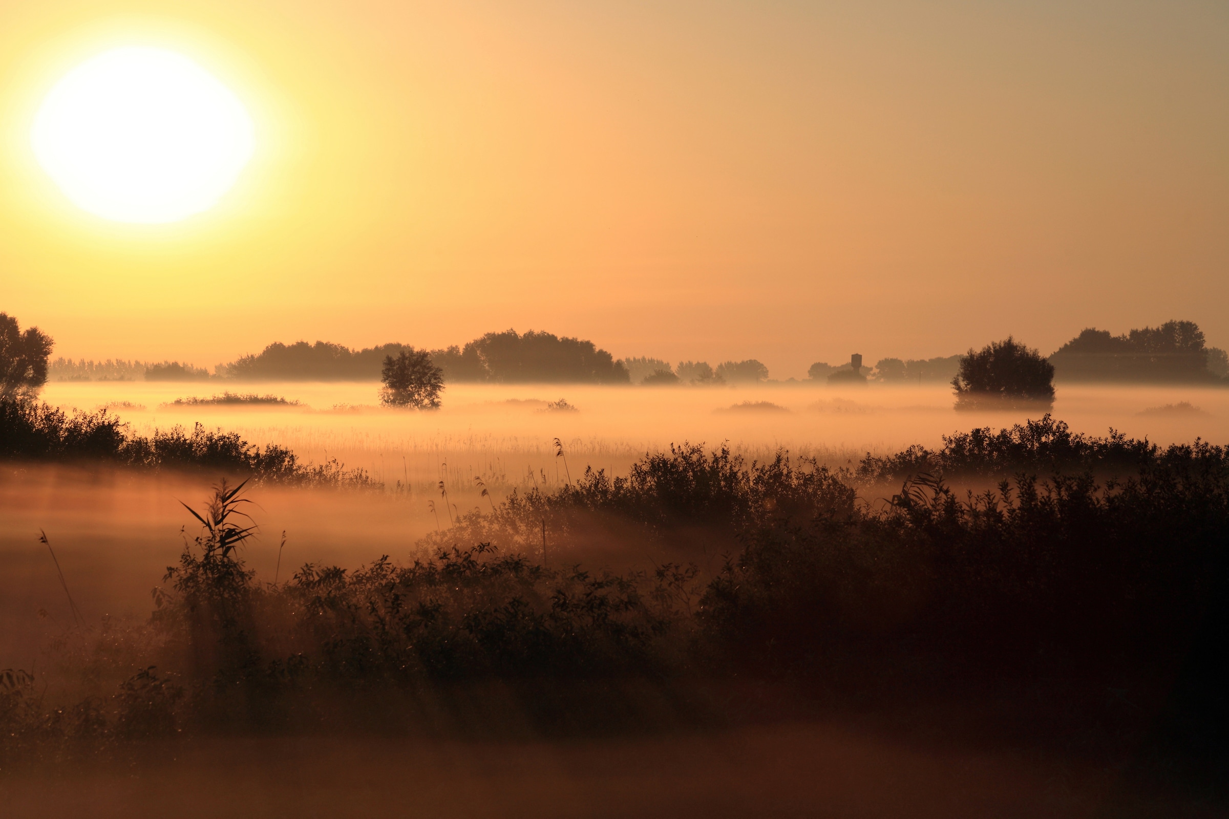 Image of Papermoon Fototapete "SONNENUNTERGANG NEBEL LANDSCHAFT"