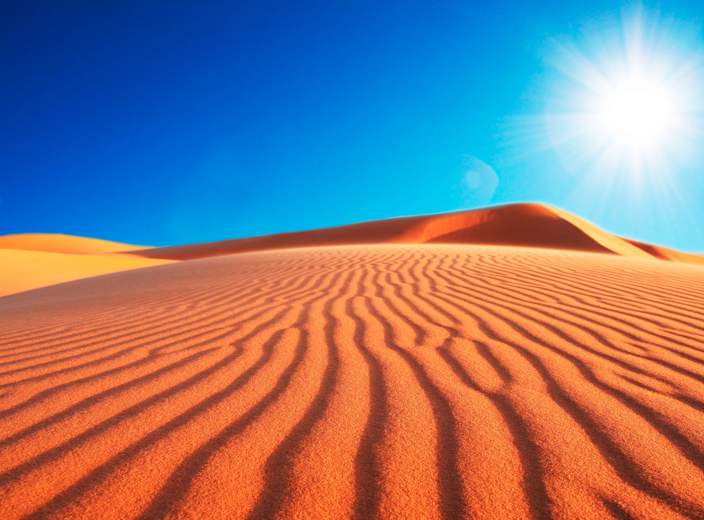 Image of Papermoon Fototapete "Deserts Sune" glatt