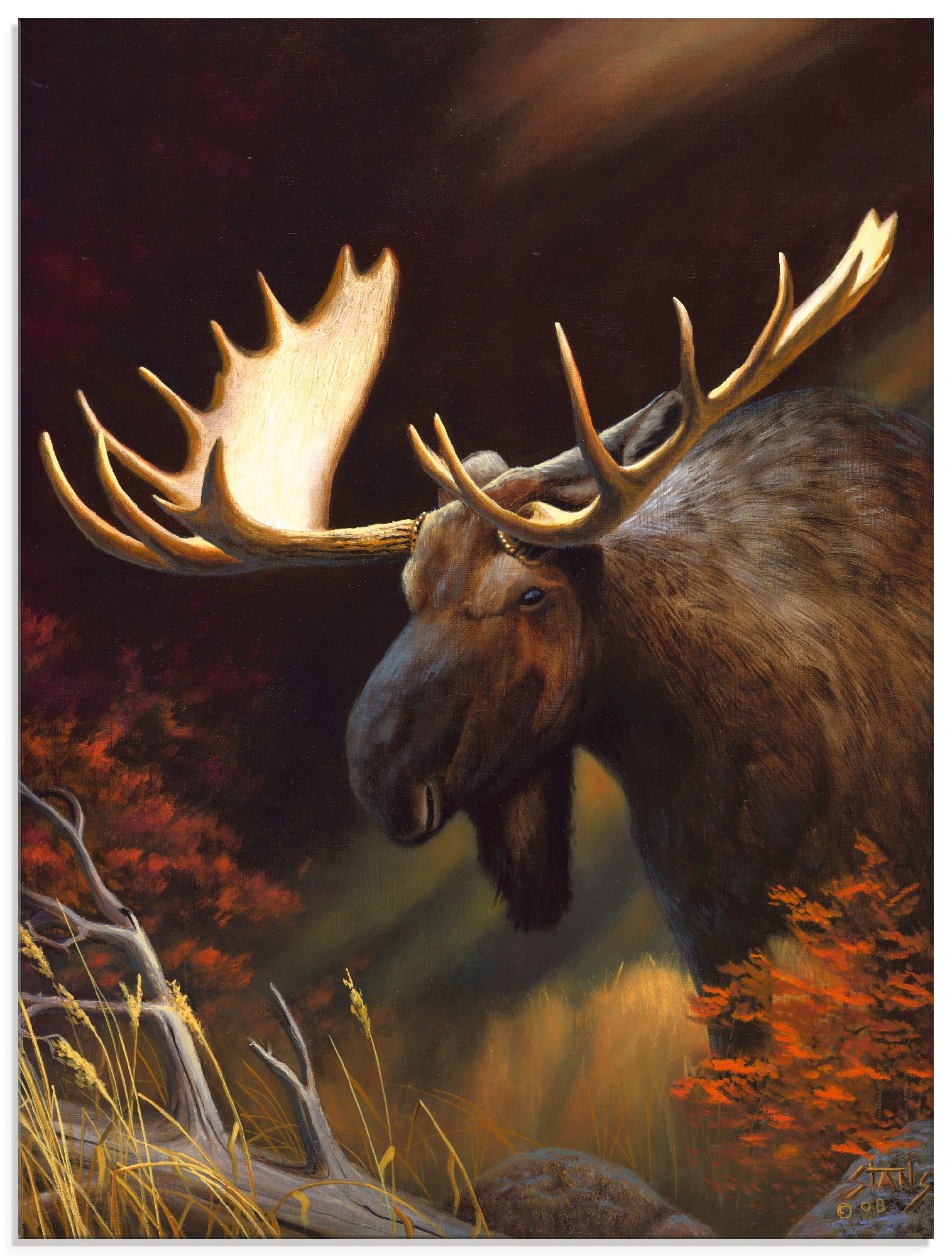 Image of Artland Glasbild »Elch Foto«, Wildtiere, (1 St.) bei Ackermann Versand Schweiz