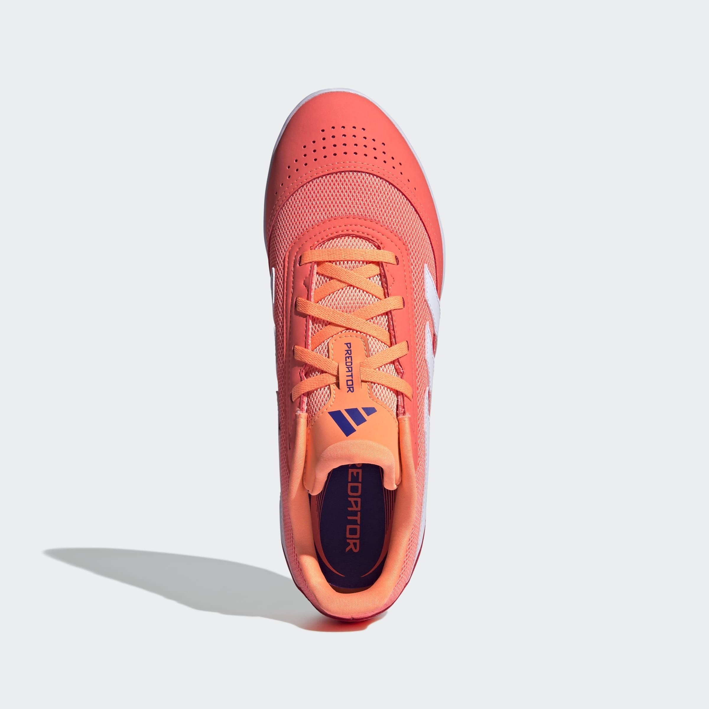 adidas Performance Fussballschuh »PREDATOR CLUB INDOOR SALA E«, geeignet als Hallenschuhe