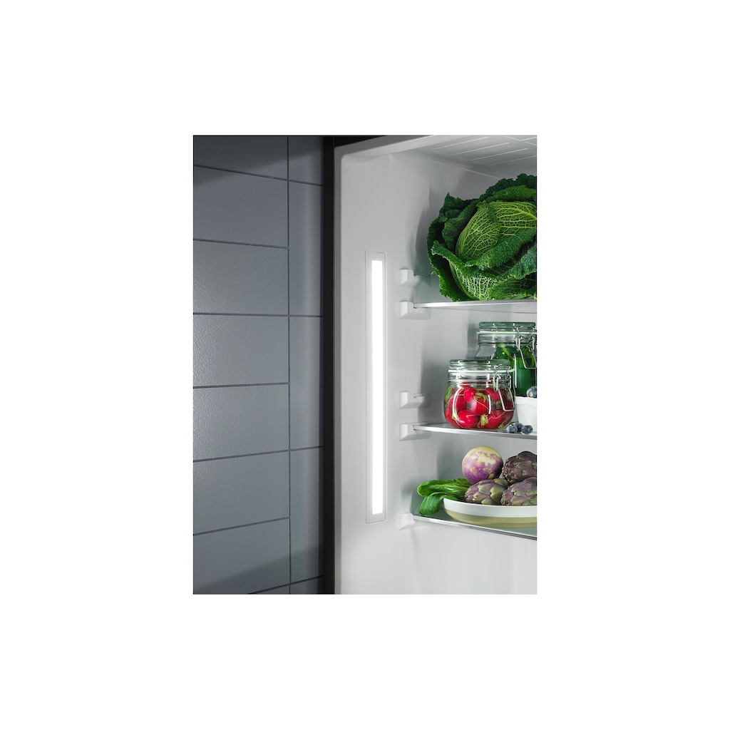Elektrolux Kühlschrank, SK232, 125 cm hoch, 55 cm breit