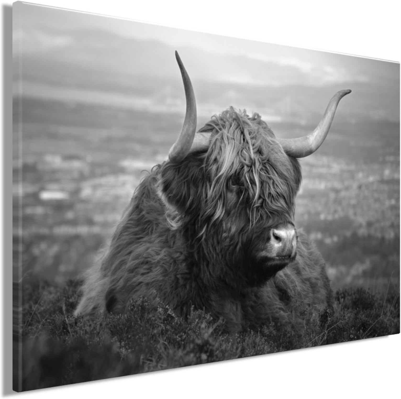 Bönninghoff Bild »Wandbild HOCHLANDRIND AM SEE 60x90 cm – Leinwandbild Keilrahmen Deko« Hochlandrind | Kuh | Schwarz-Weiss auf Keilrahmen gespannt