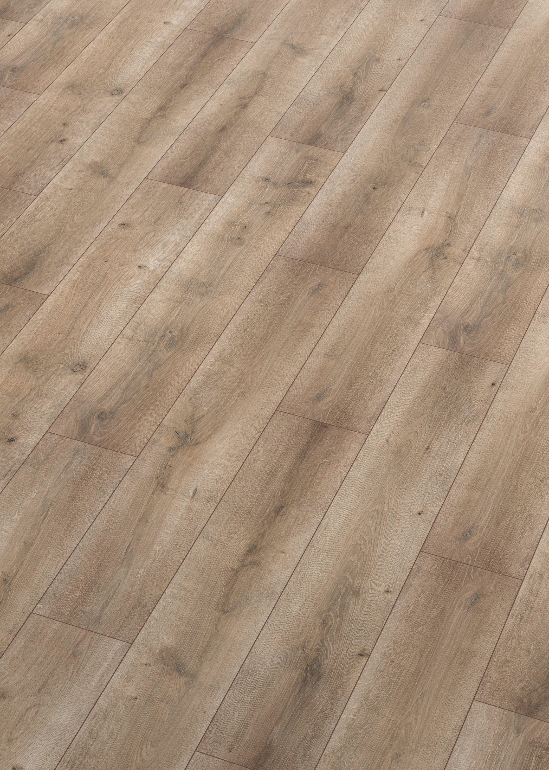 Image of ter Hürne Laminat »Eiche pastellbraun«, mit fühlbarer Oberfläche und Klicksystem bei Ackermann Versand Schweiz