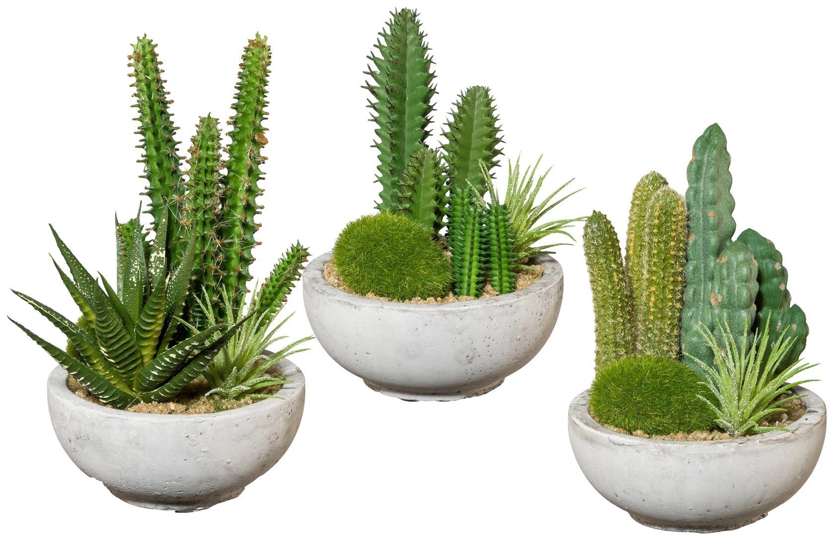 Image of Creativ green Kunstpflanze »Kakteen-Arrangement«, (3 St.), im Zementtopf bei Ackermann Versand Schweiz