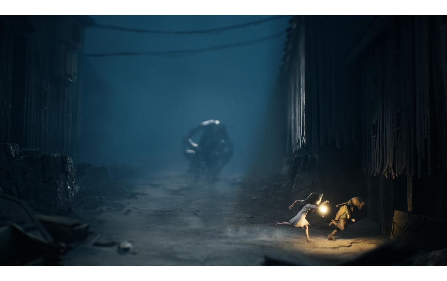   Spielesoftware »Reanimal (Box)«