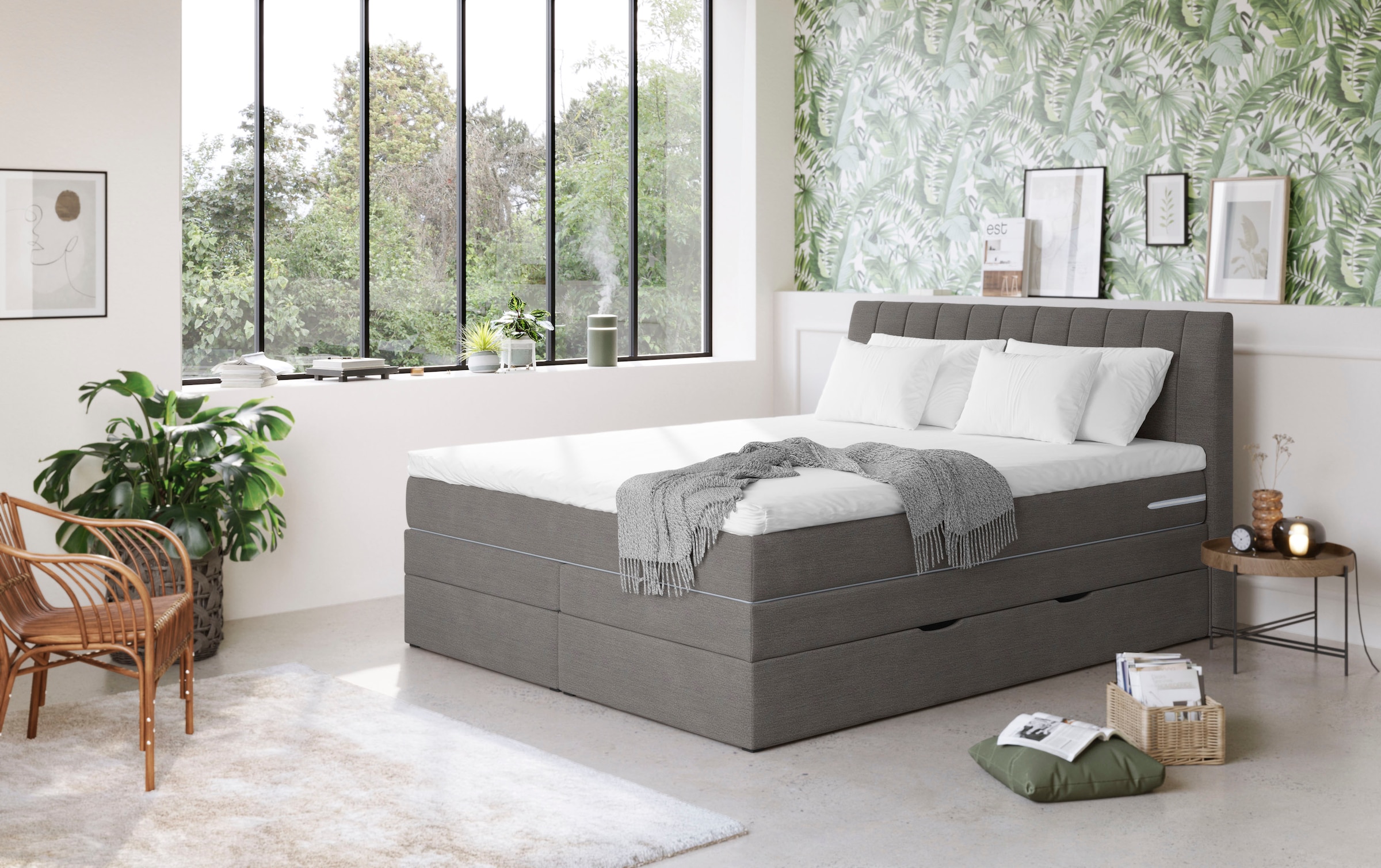 COTTA Boxspringbett »Shark inkl. Bettkasten und Topper«, erhältlich in den Breiten 140x200cm, 160x200cm und 180x200cm