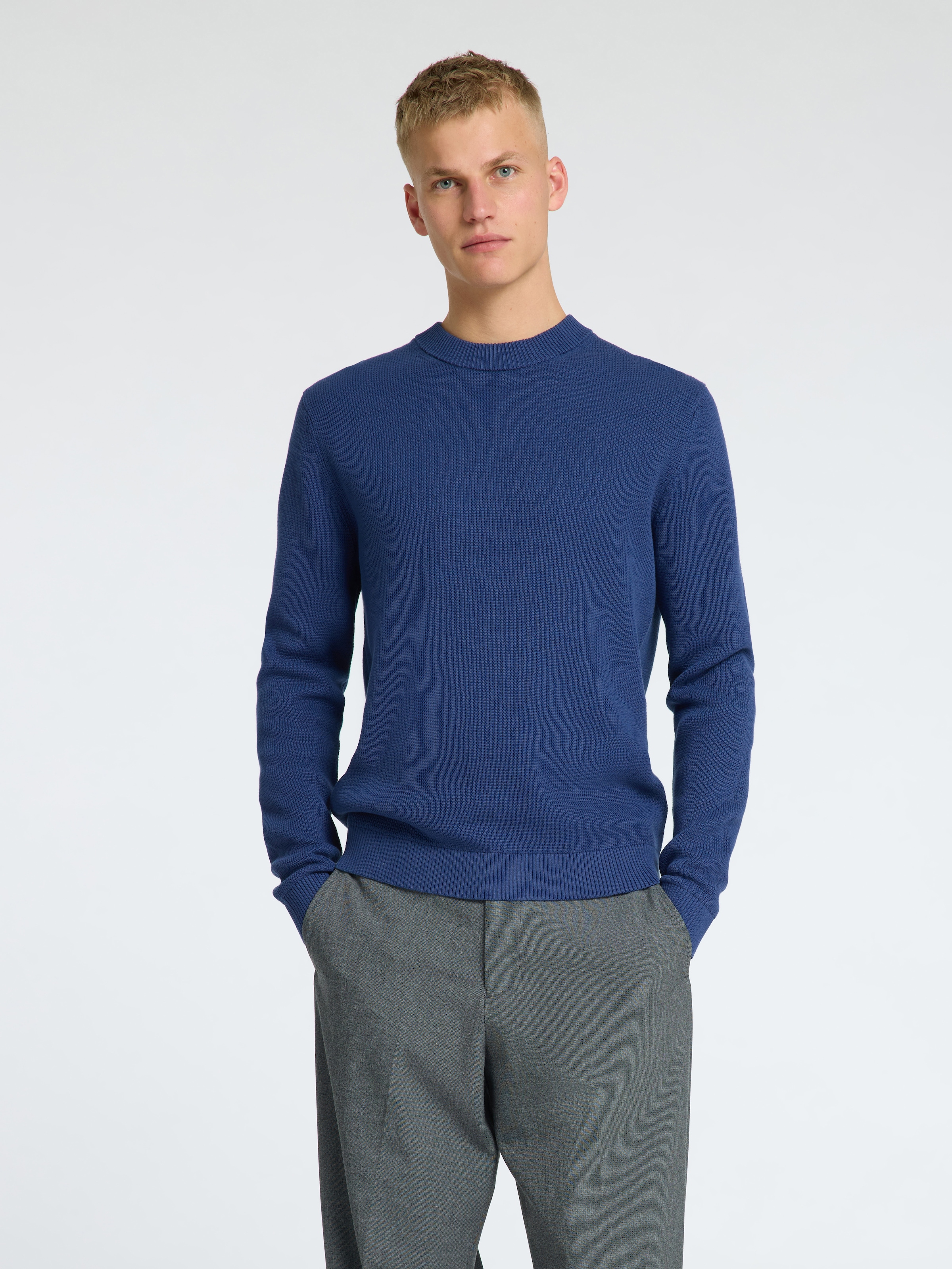 SELECTED HOMME Rundhalspullover »SLHDANE LS KNIT STRUCTURE CREW NECK NOOS«