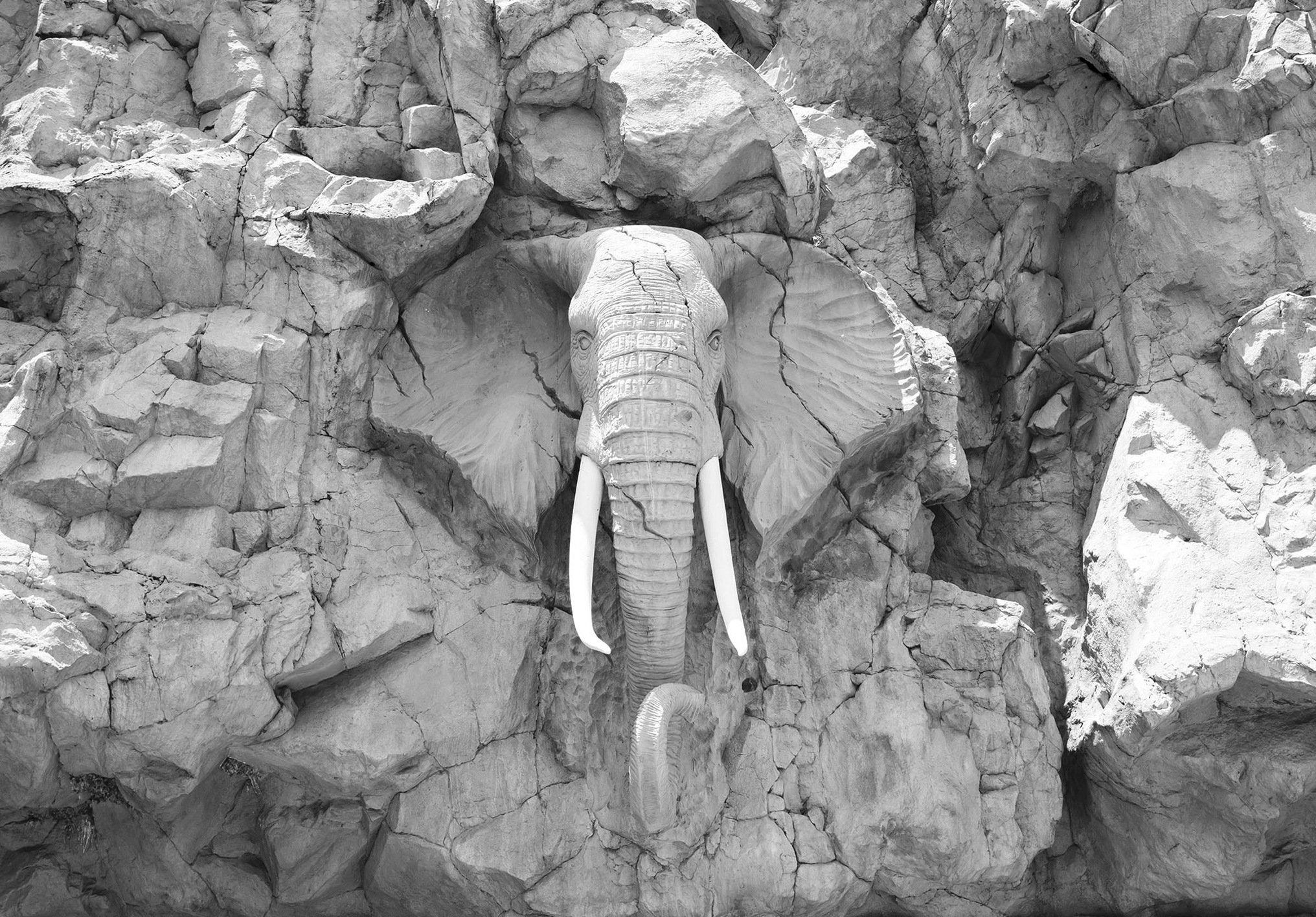 Image of Consalnet Fototapete »Elefant im Felsen«, Motiv bei Ackermann Versand Schweiz