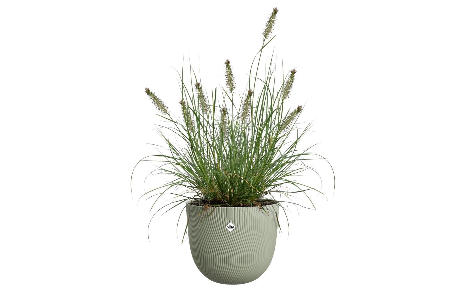 Elho Pot de fleurs »Sereh Rund 40 cm«