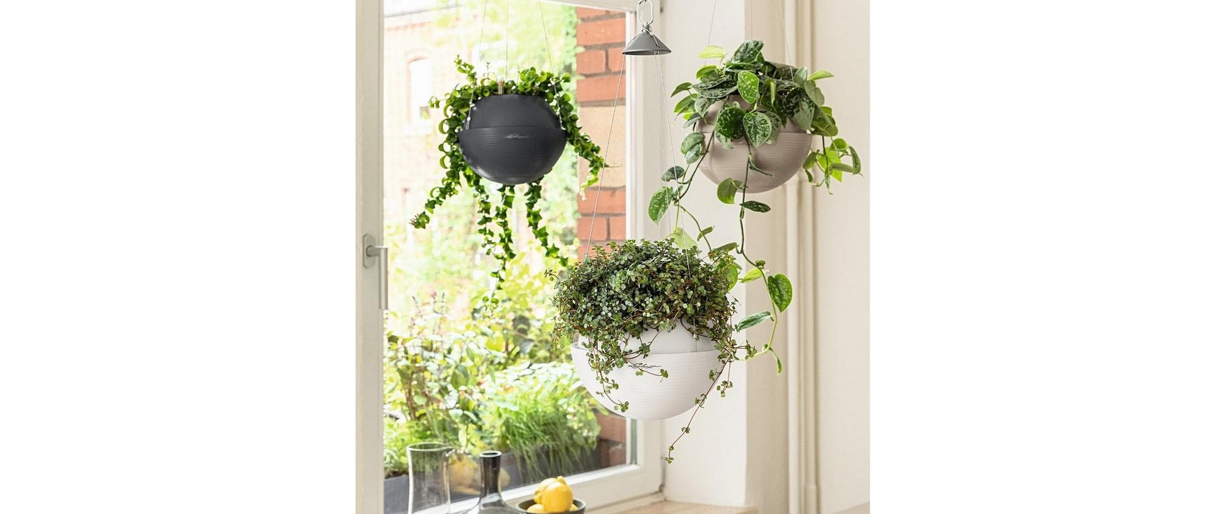   Pot de fleurs »Lechuza BOLA Color 32«