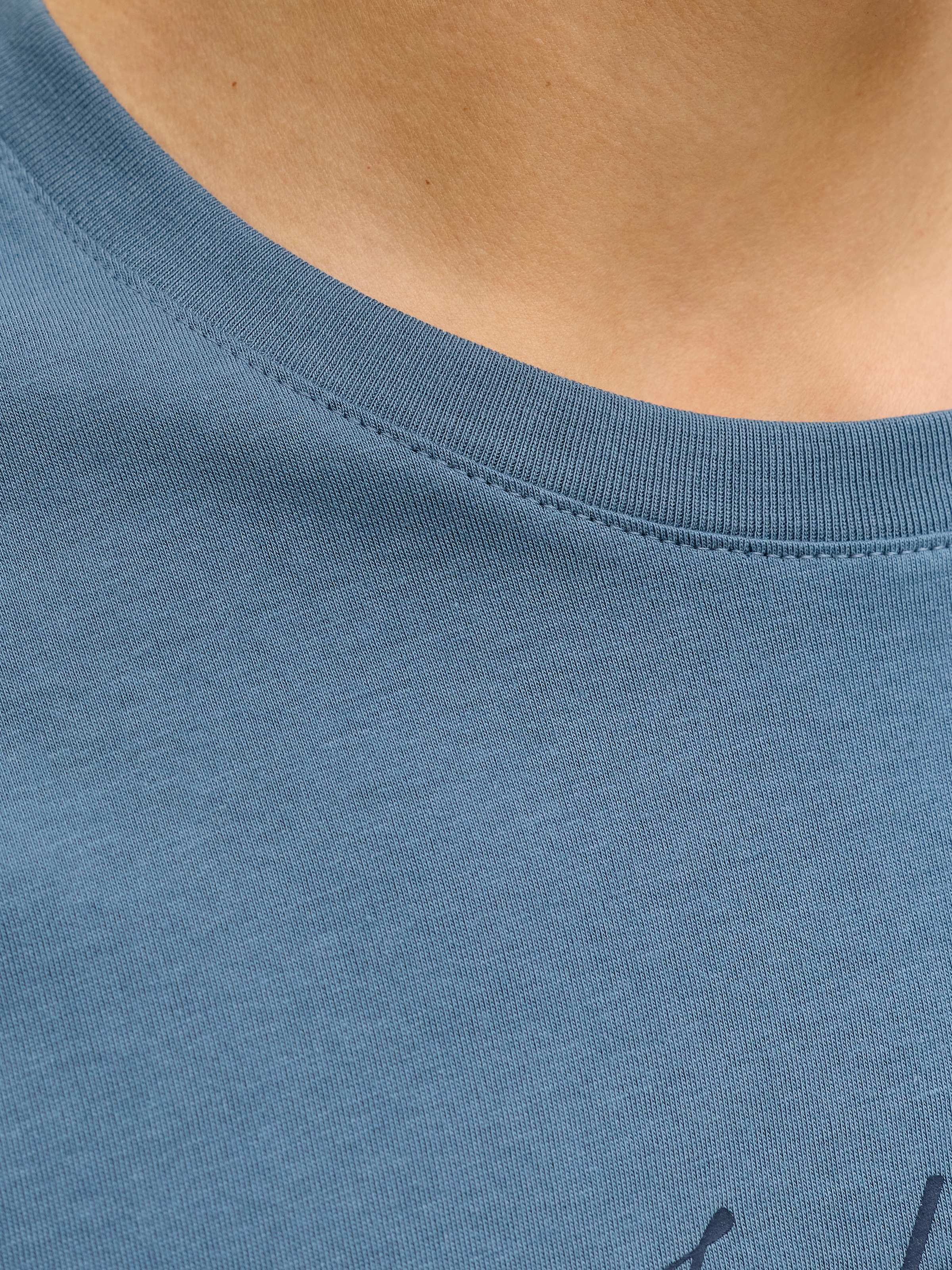 Jack & Jones Rundhalsshirt »JJEDOVER DENIM TEE SS O-NECK SN« mit Logobranding