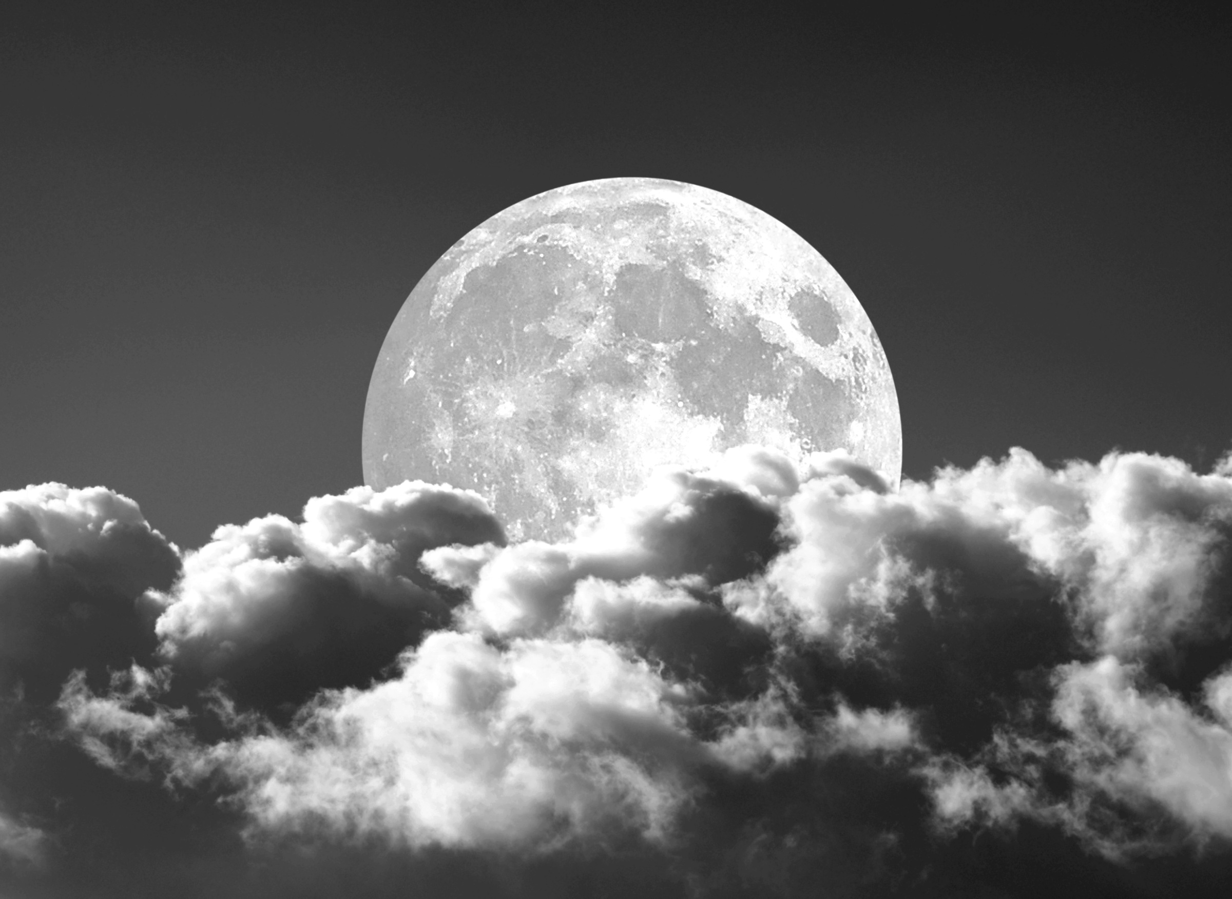 Image of Papermoon Fototapete "Mond Schwarz & Weiss"