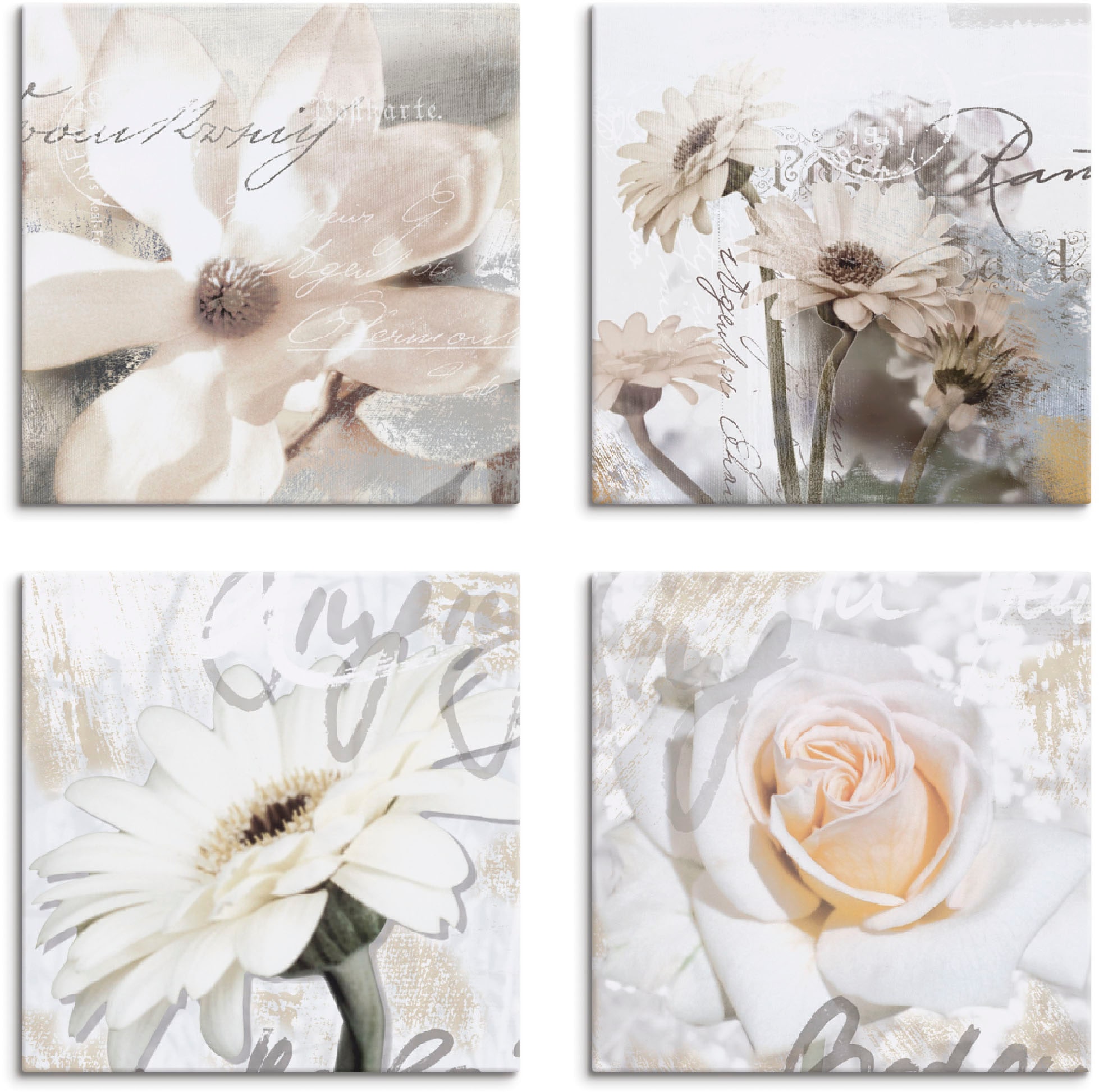Image of Artland Leinwandbild "Magnolie Gerberas Rosen in Buchstaben" Blumen 4 Stk. tlg. 4er Set, verschiedene Grössen