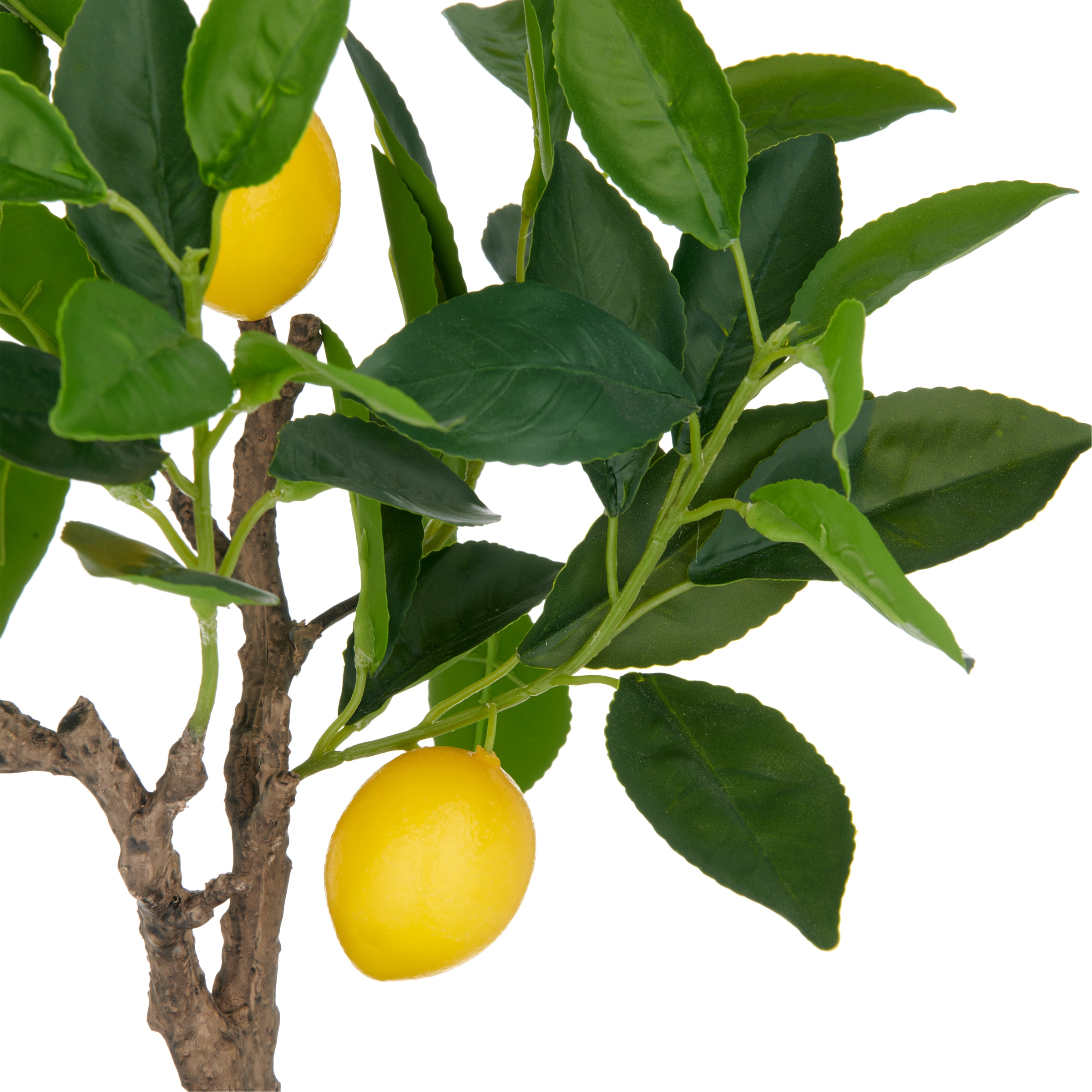 Creativ green Arbre artificiel »Zitrone« mit detailgetreuer Gestaltung
