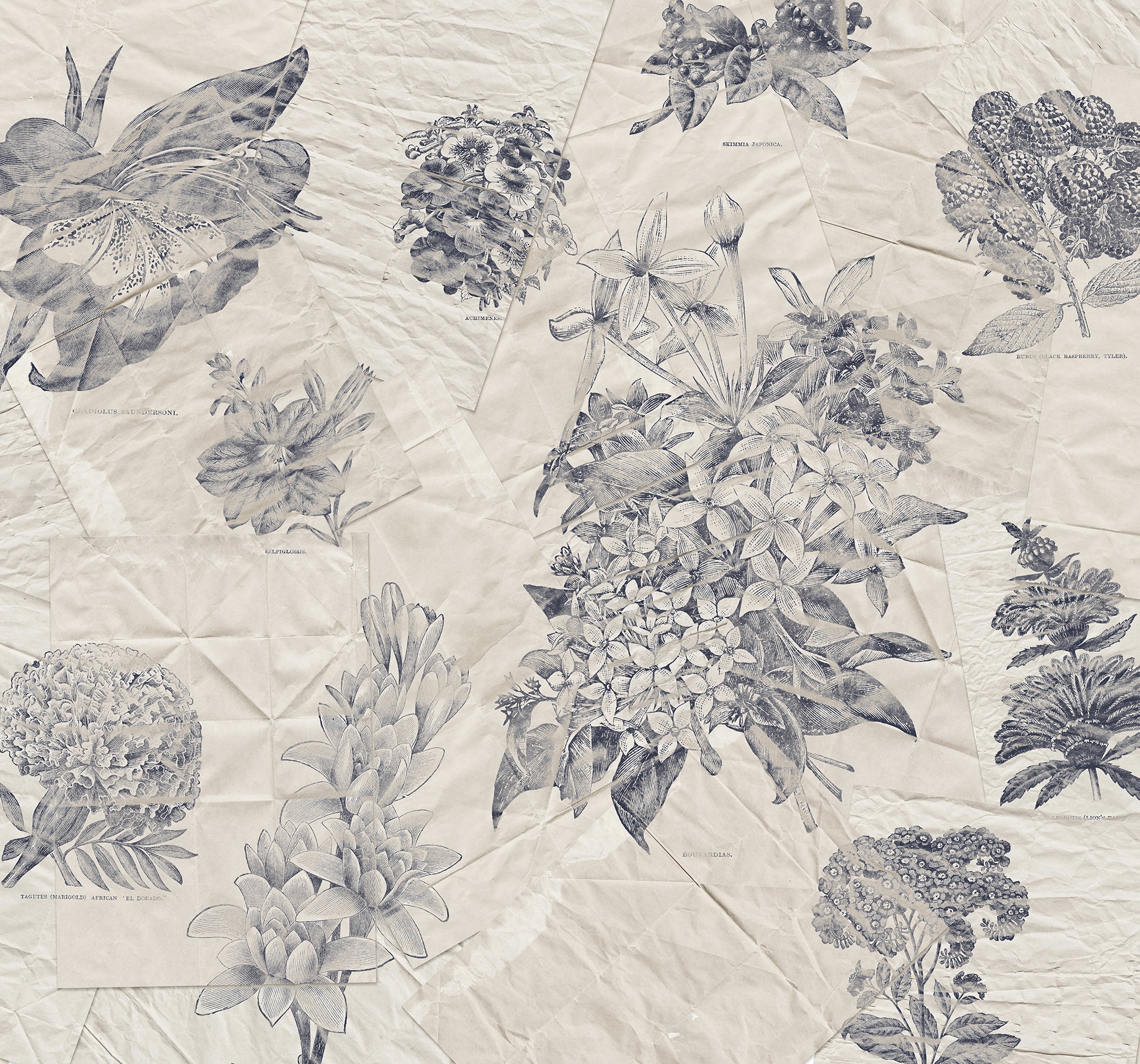 Image of Komar Vliestapete "Digitaldruck Vlies - Botanical Papers - Grösse 400 x 280 cm" bedruckt glatt Wohnzimmer, Schlafzimmer