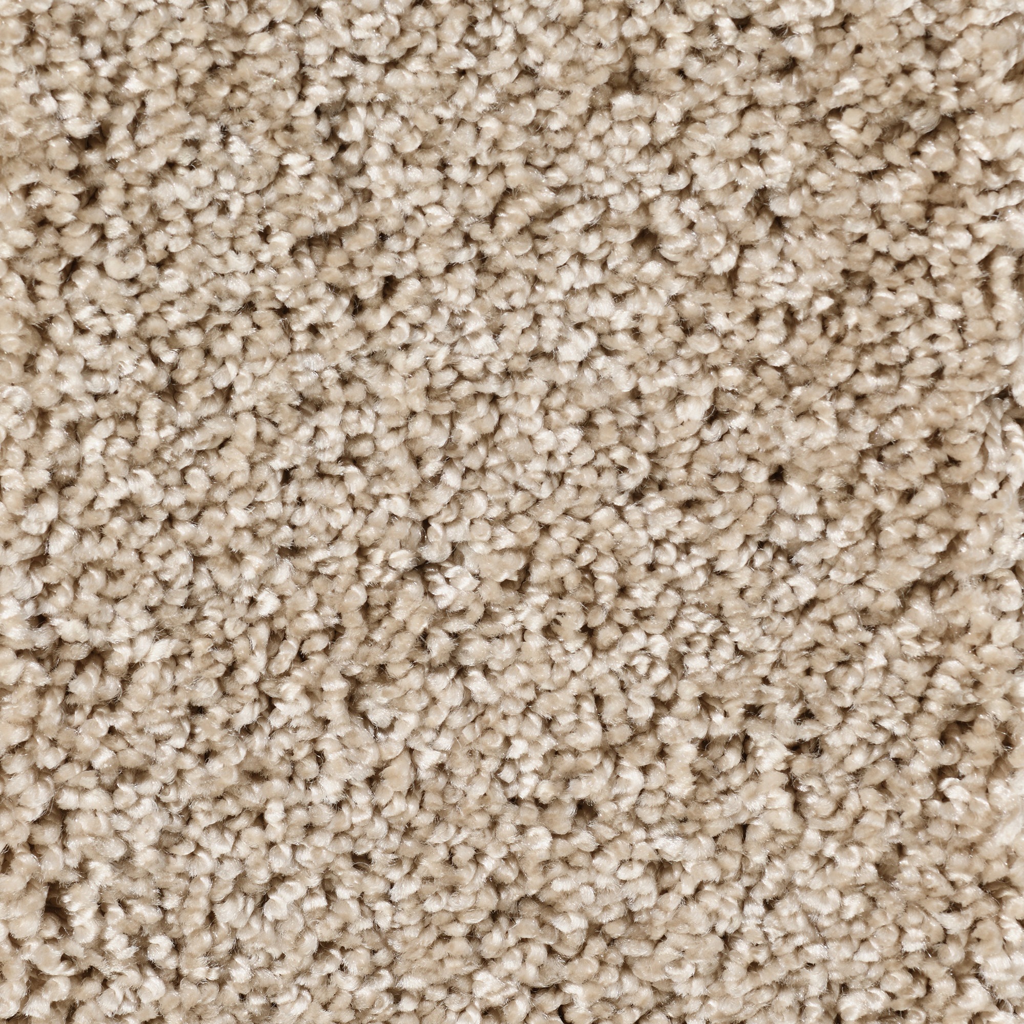 Image of Bodenmeister Teppichboden »Hochflor Velours«, rechteckig, 12 mm Höhe, Meterware, Breite 400 cm, uni, Wunschmass bei Ackermann Versand Schweiz