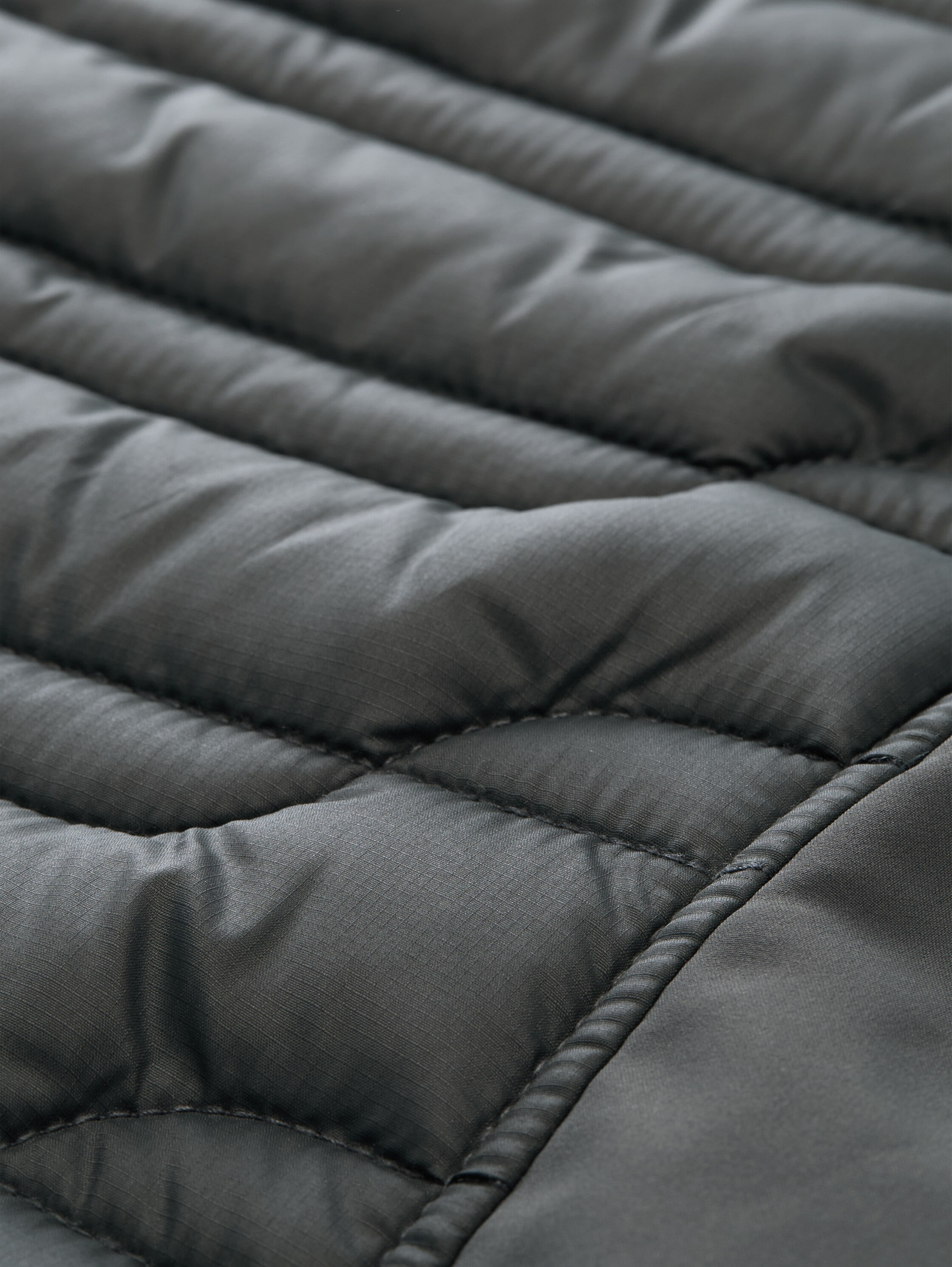 TOM TAILOR Steppjacke ohne Kapuze mit Stehkragen und Reissverschluss