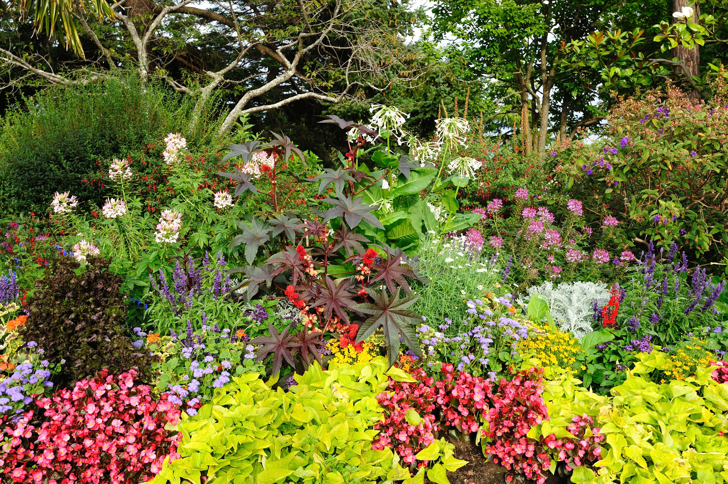 Image of Papermoon Fototapete "GARTEN-BÄUME BLUMEN PFLANZEN PARK STEINE WALD BLÜTEN"