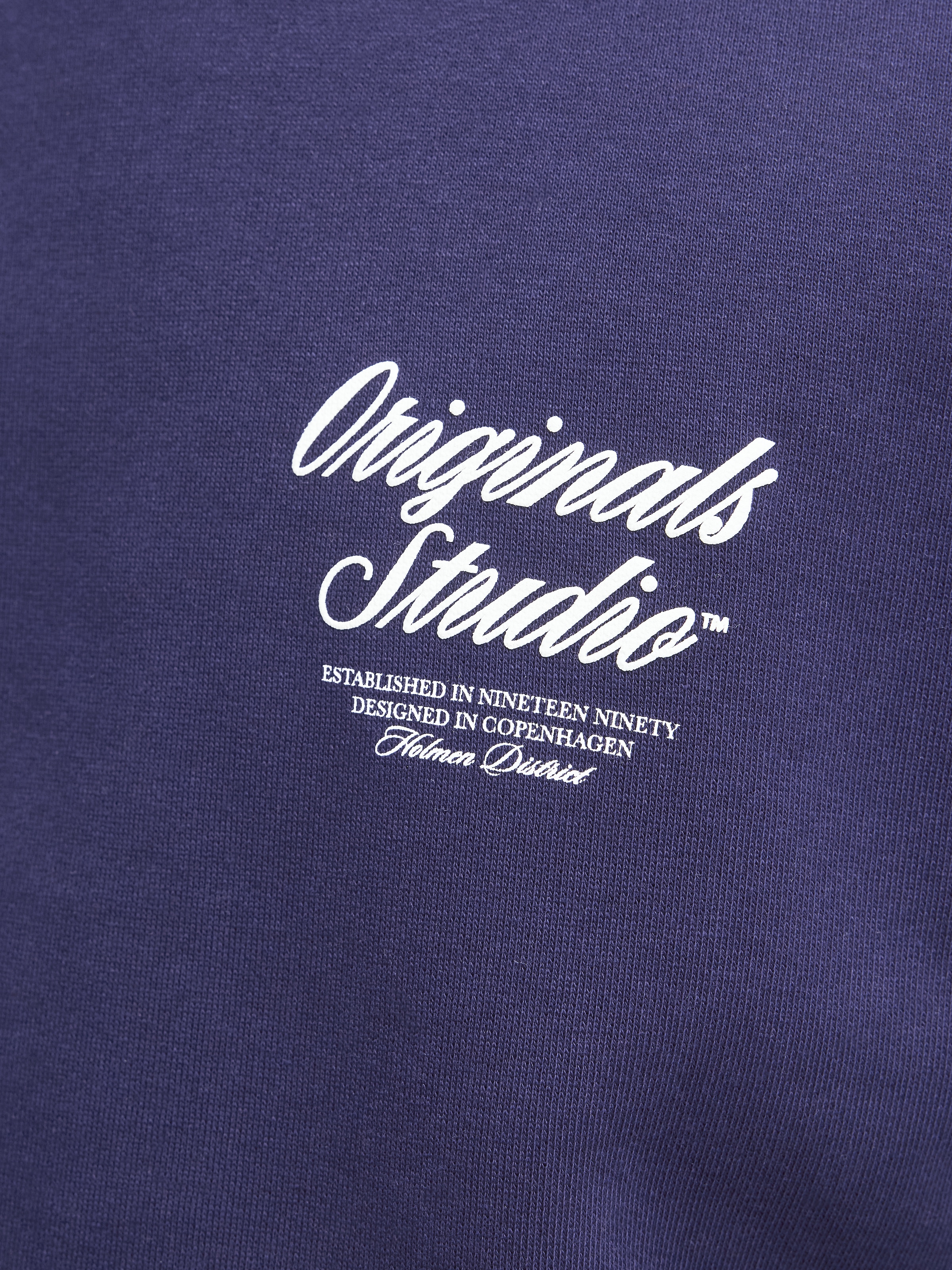 Jack & Jones Kapuzensweatshirt »JORNORREBRO TYPO BACK SWEAT HOOD SN«