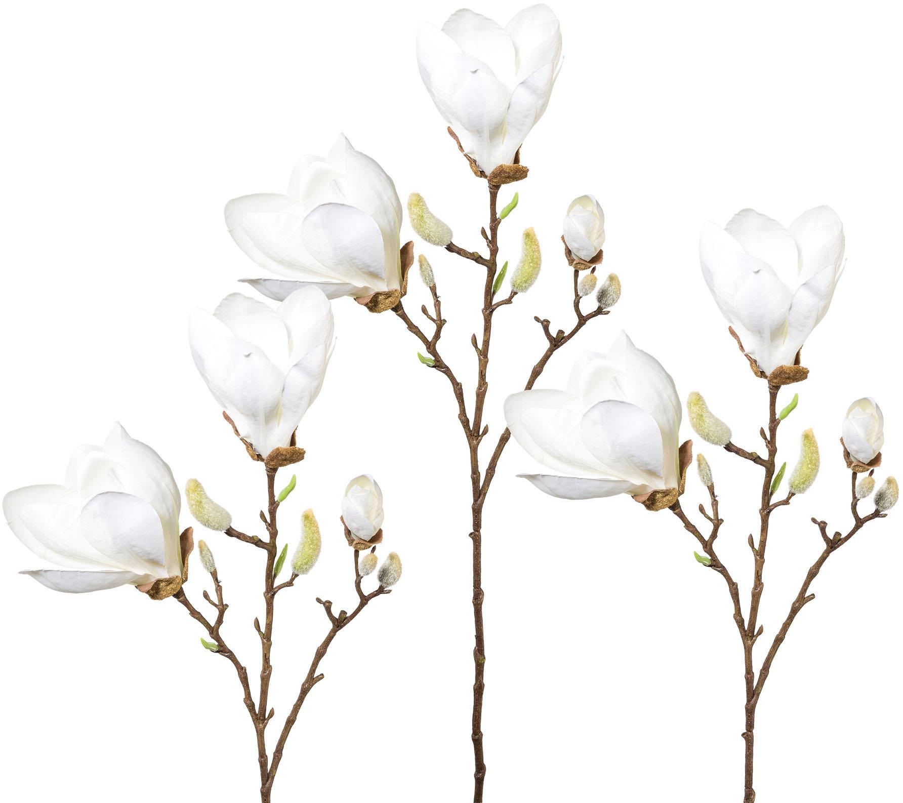 Image of Creativ green Kunstblume, 3er Set bei Ackermann Versand Schweiz