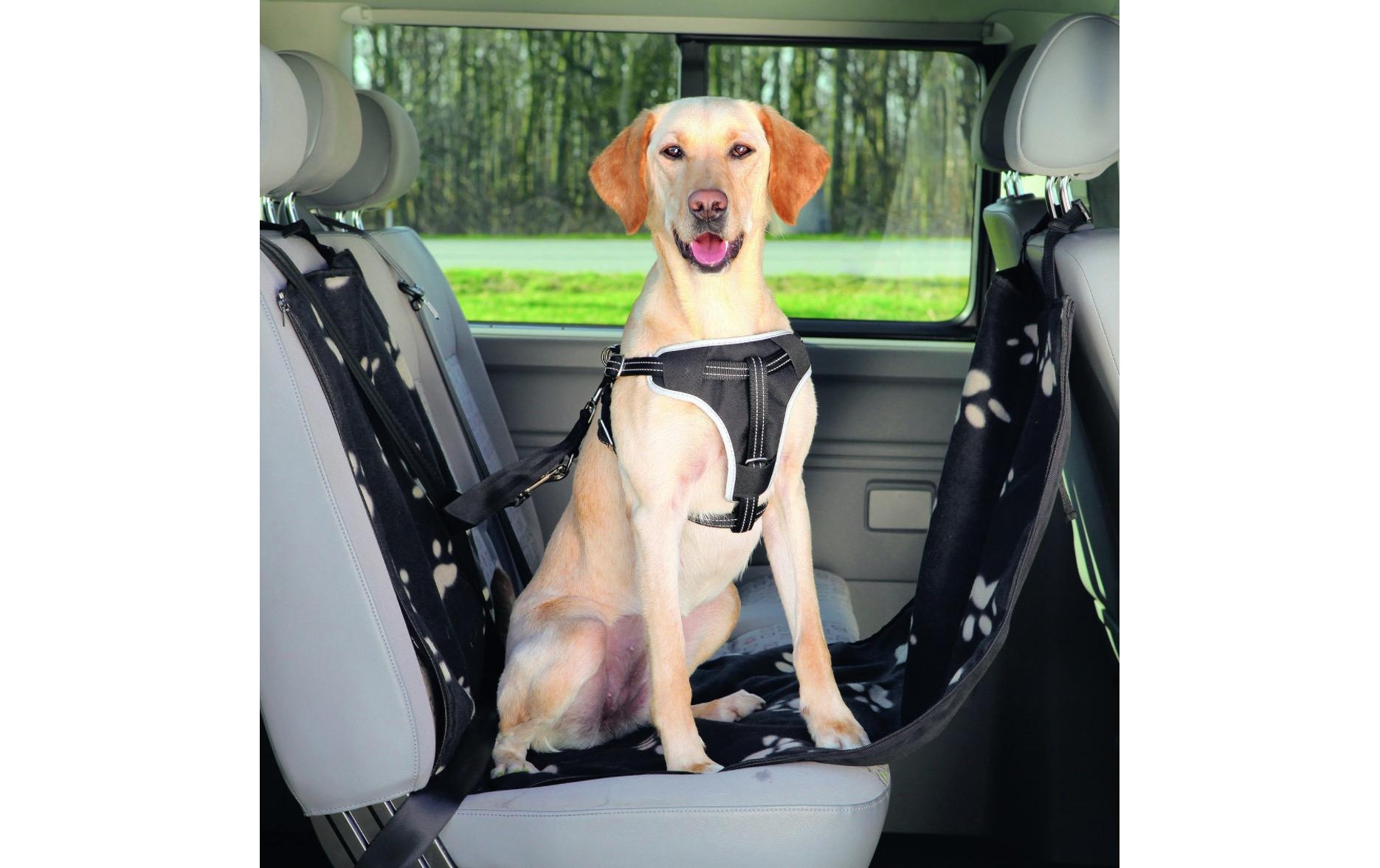 TRIXIE Tier-Autoschondecke »Auto-Schondecke Friends on Tour«