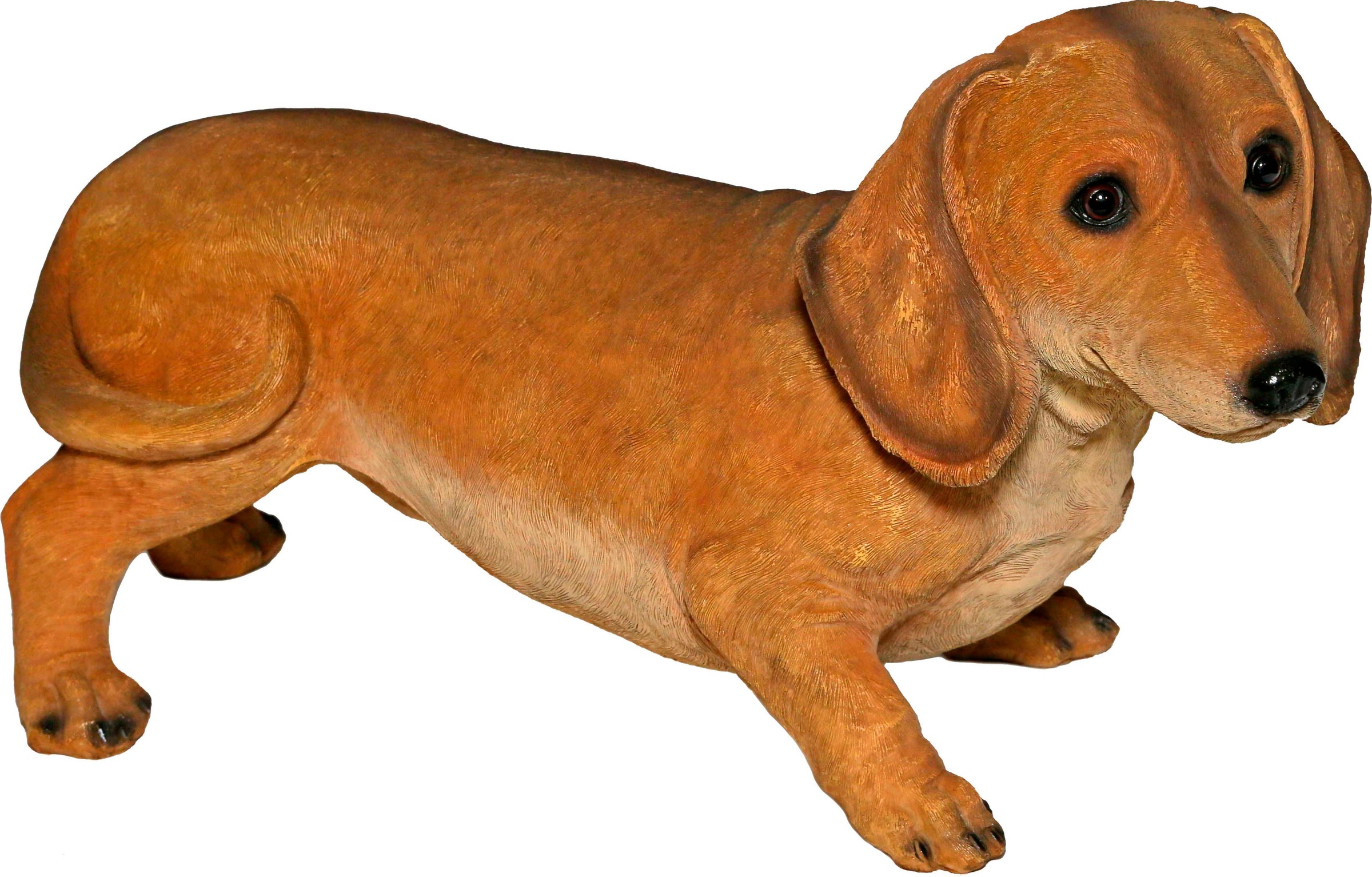 Image of Casa Collection by Jänig Tierfigur, Dackel, braun bei Ackermann Versand Schweiz
