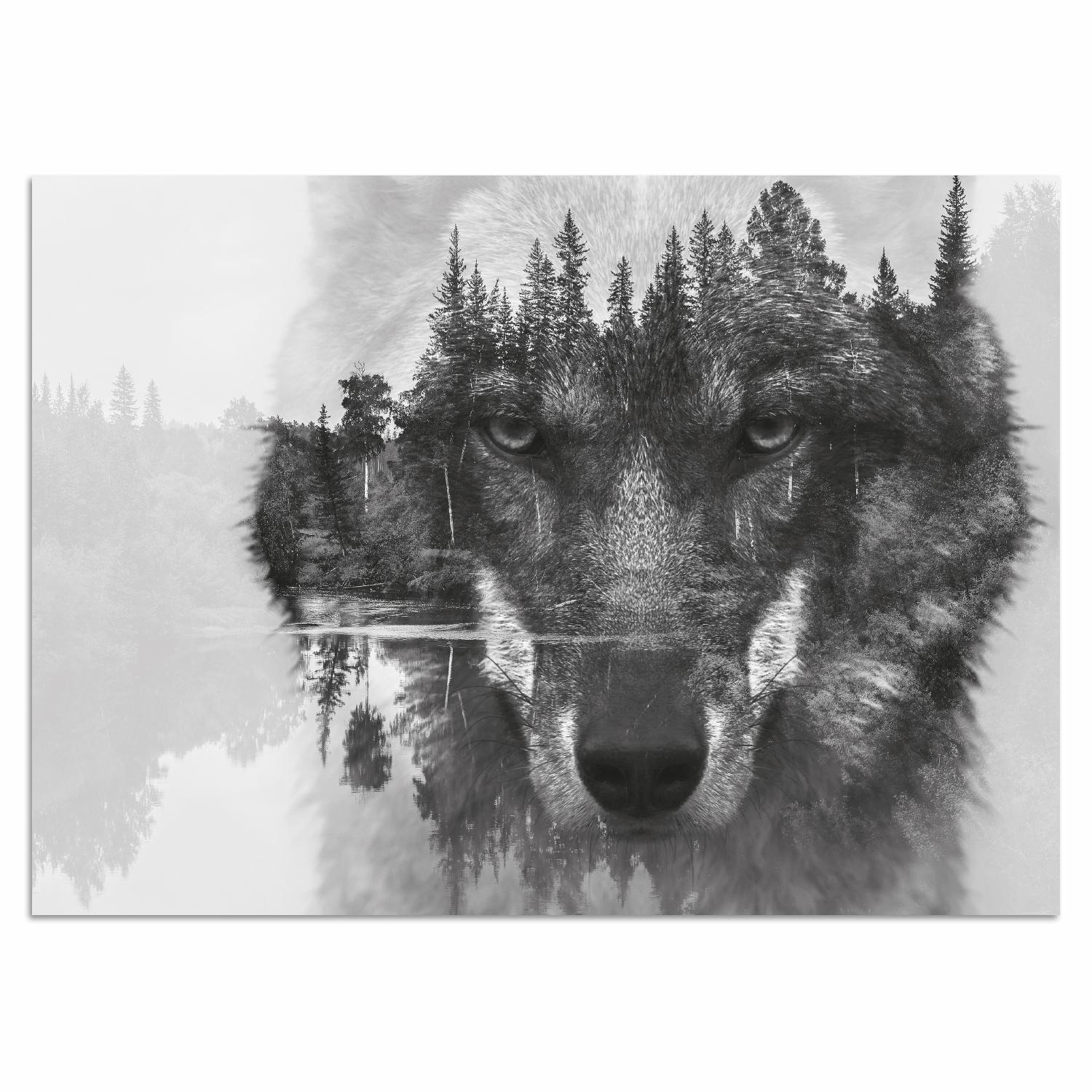 Acrylglasbild »Wolf«, Schwarz/ Weiss, Spiegelung, Wald, Kanada