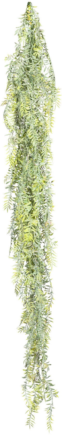 Image of Creativ green Kunstranke »Farnblatthänger«, (1 St.) bei Ackermann Versand Schweiz