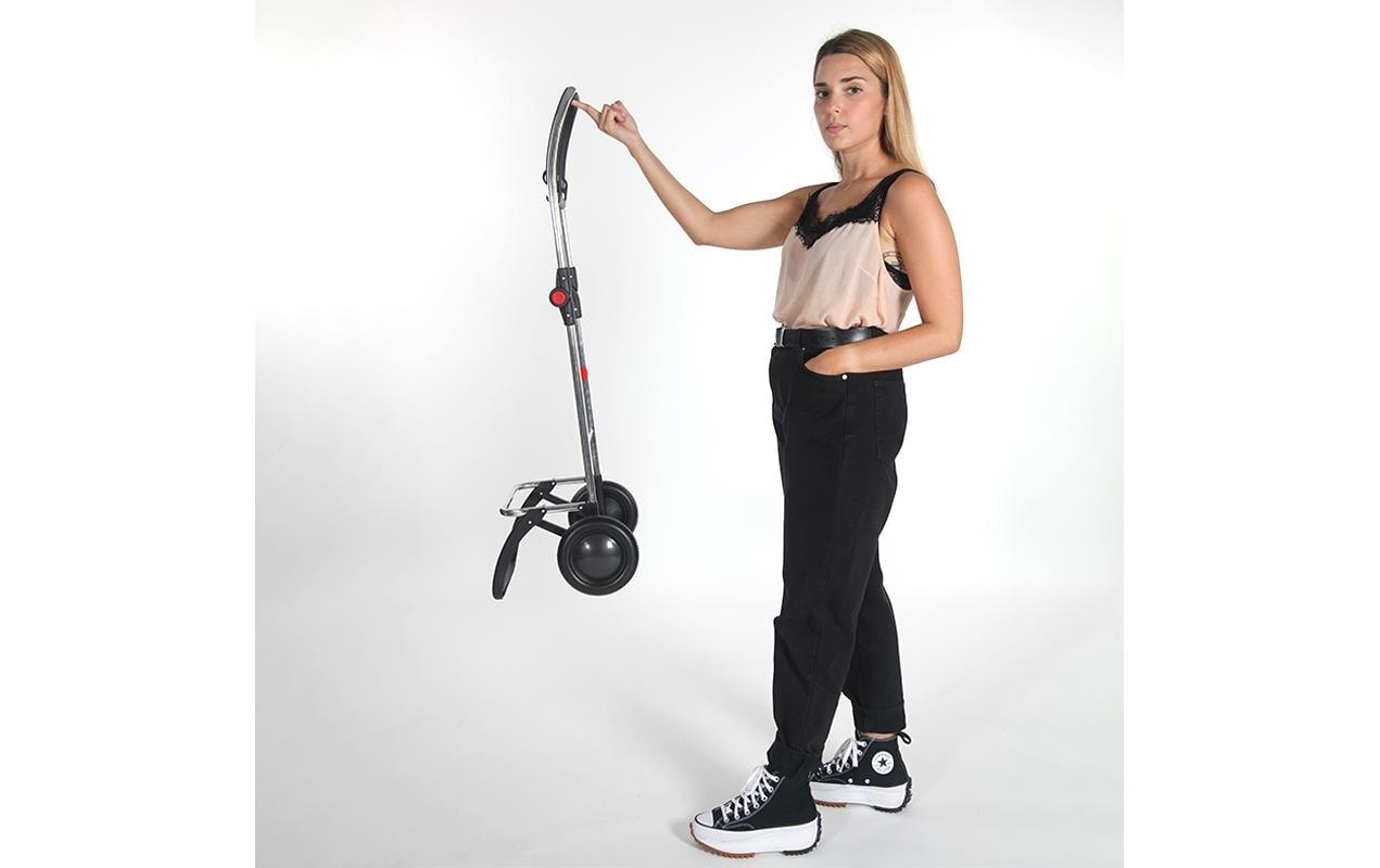 Rolser Einkaufstrolley »Big Polar 2«