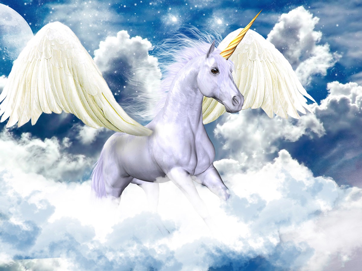 Image of Papermoon Fototapete »Pegasus Einhorn«, Vliestapete, hochwertiger Digitaldruck, inklusive Kleister bei Ackermann Versand Schweiz