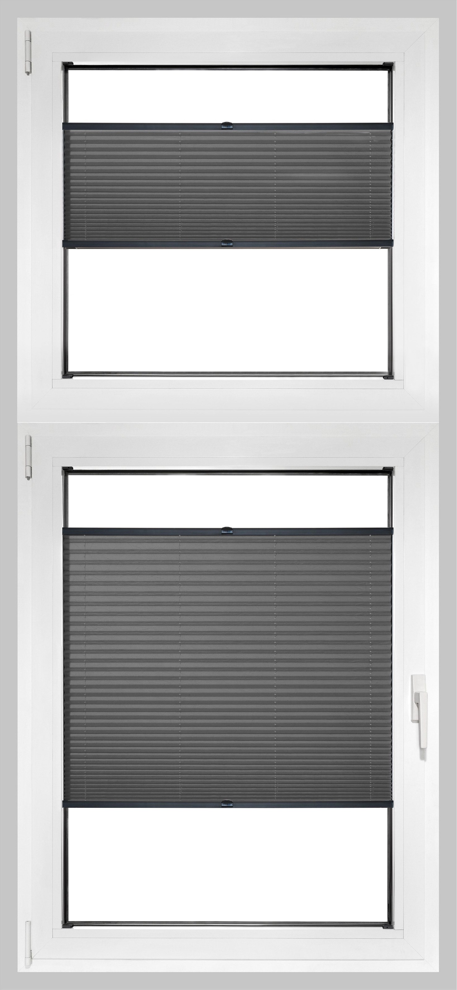 Image of Good Life Plissee nach Mass »Rena«, Lichtschutz, mit Bohren, verspannt, schwarze Profilschiene bei Ackermann Versand Schweiz