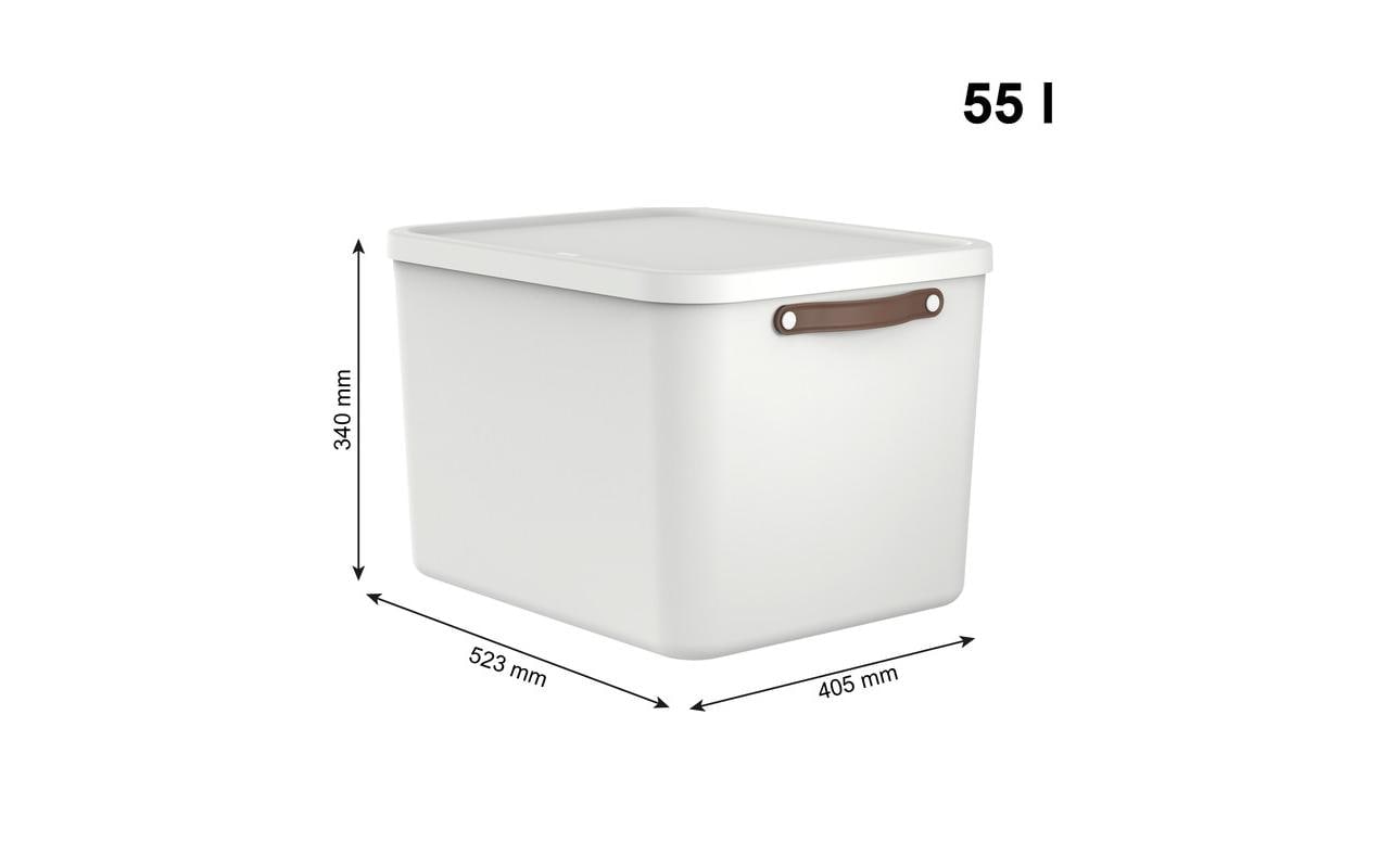 ROTHO Aufbewahrungsbox »Rotho Aufbewahrungsbox MALOJA 55 l, 2 Stück«
